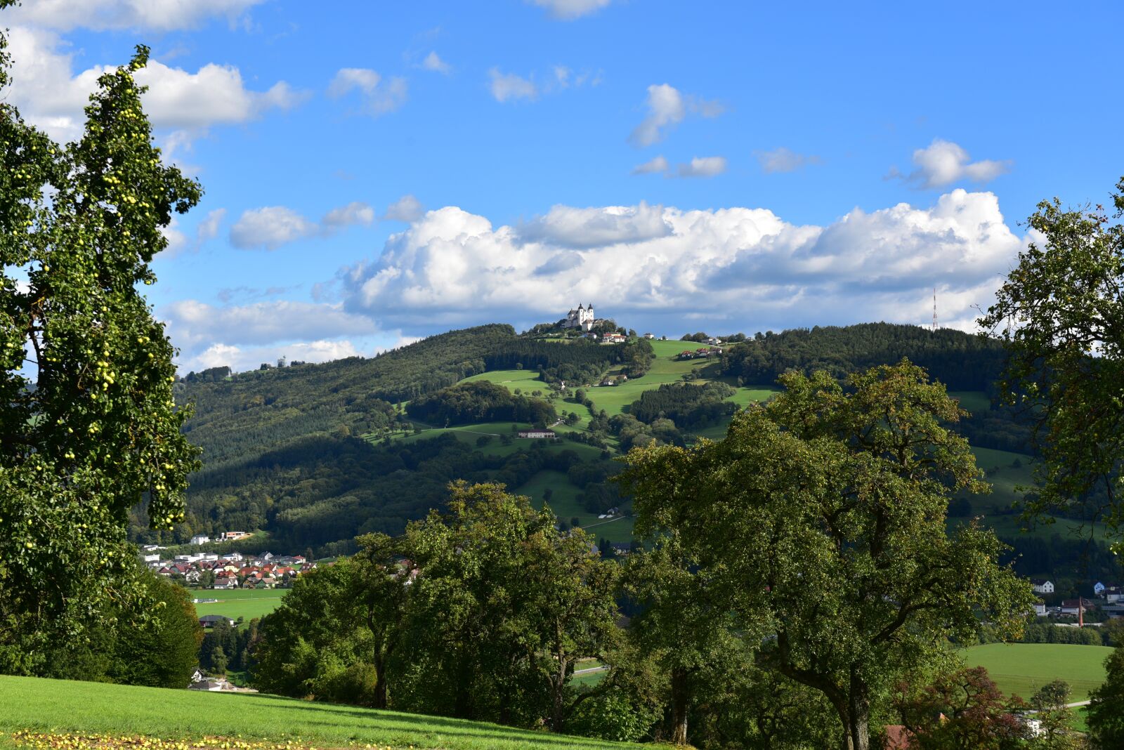 Nikon D750 sample photo. Nature, landscape, autumn photography