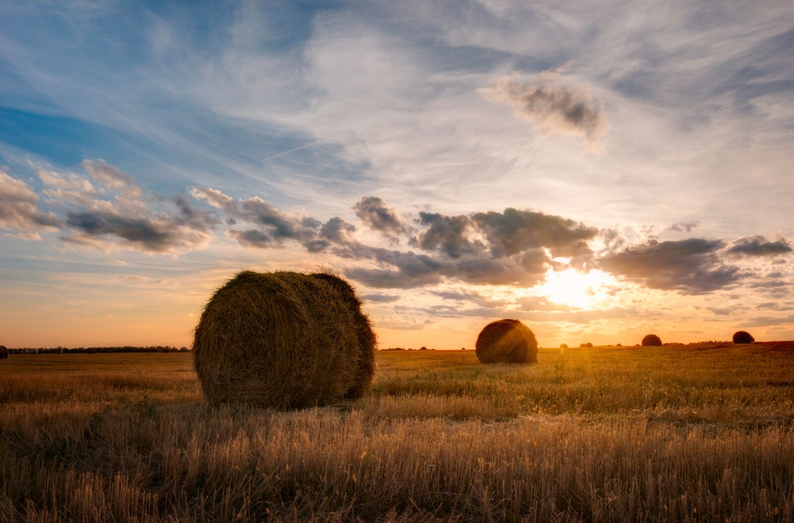 Canon EOS 550D (EOS Rebel T2i / EOS Kiss X4) sample photo. Landscape, field, agrofirm photography