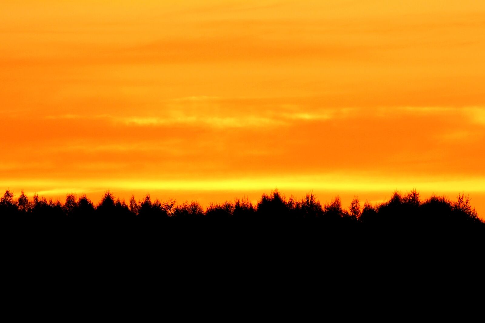 Canon EOS 600D (Rebel EOS T3i / EOS Kiss X5) sample photo. Silhouette, tree sunset, landscape photography