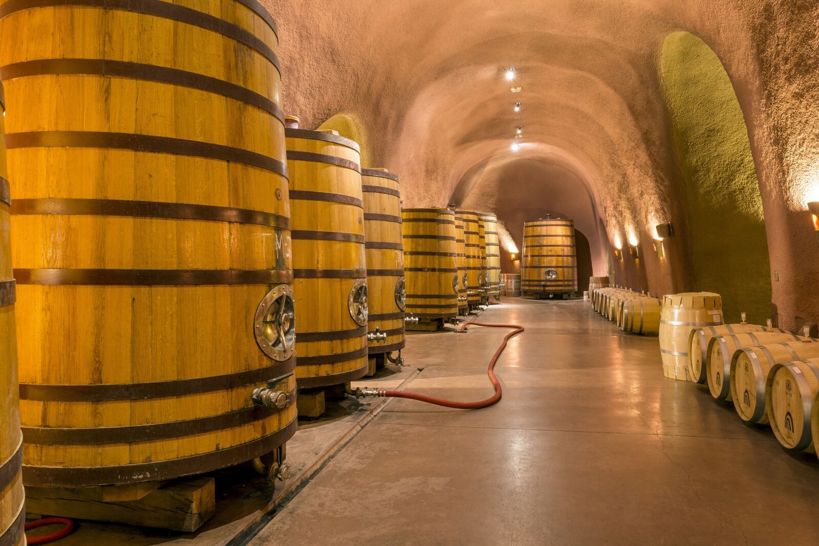 Nikon D800E sample photo. Wine cellar, caves, tunnel photography