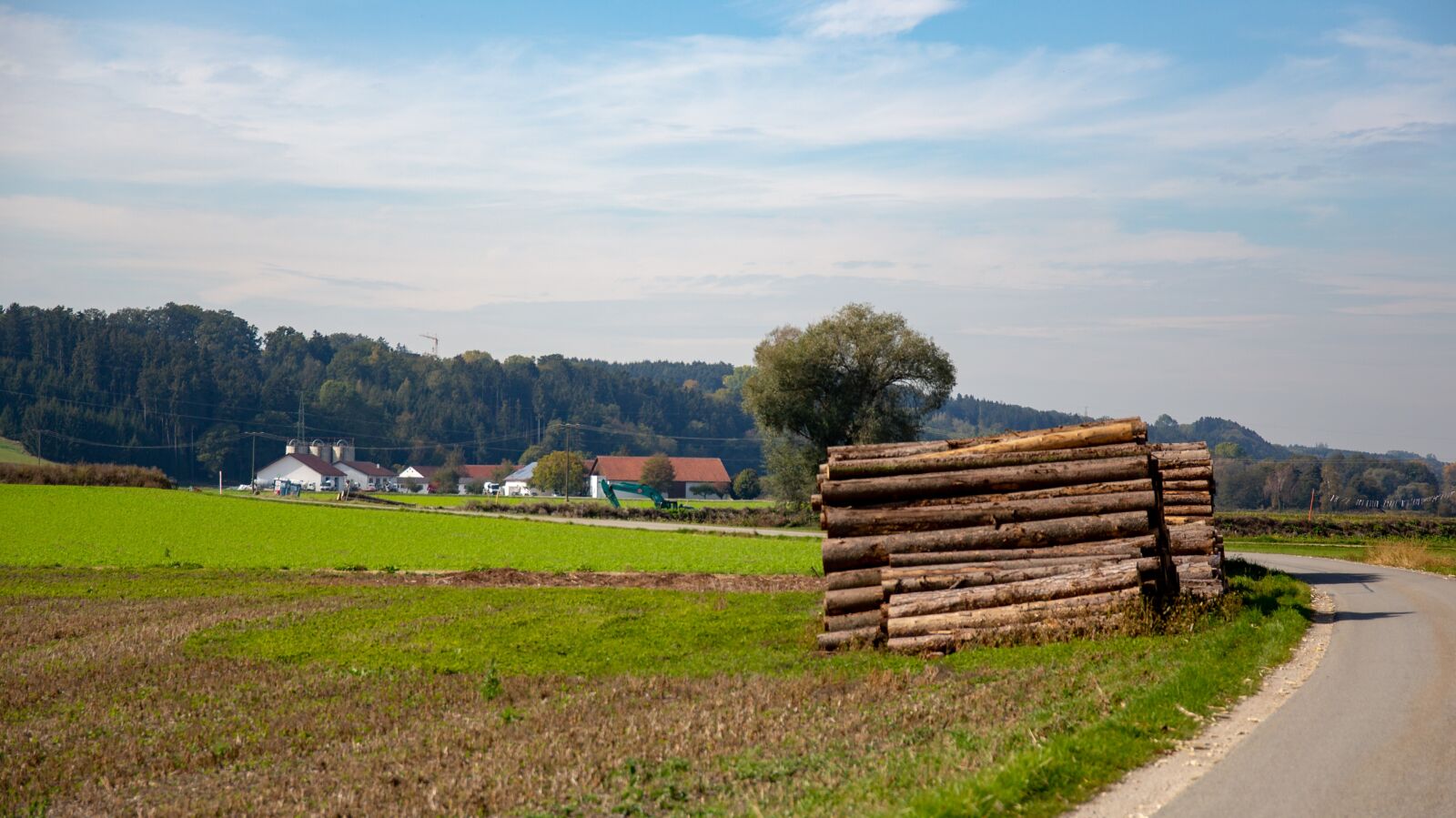 Canon EOS 5D Mark III sample photo. Holzstapel, field, meadow photography