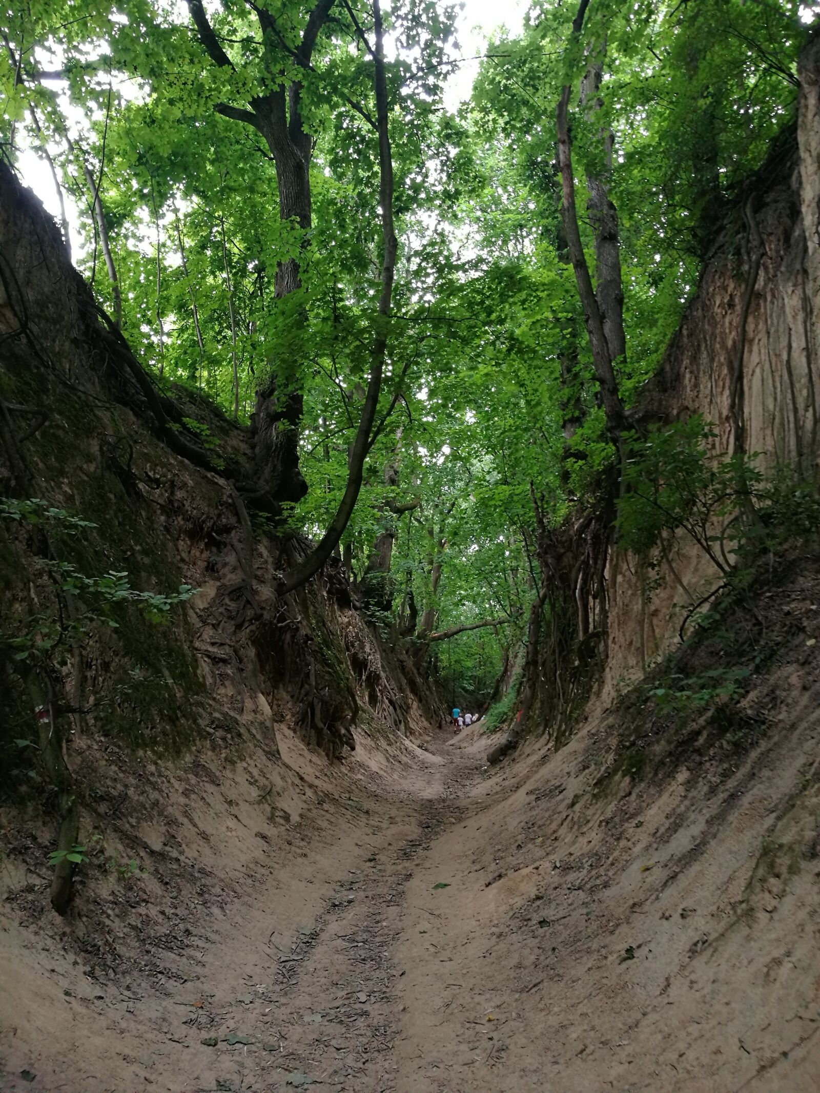 HUAWEI P9 sample photo. Gorge st jadwigi, sandomierz photography