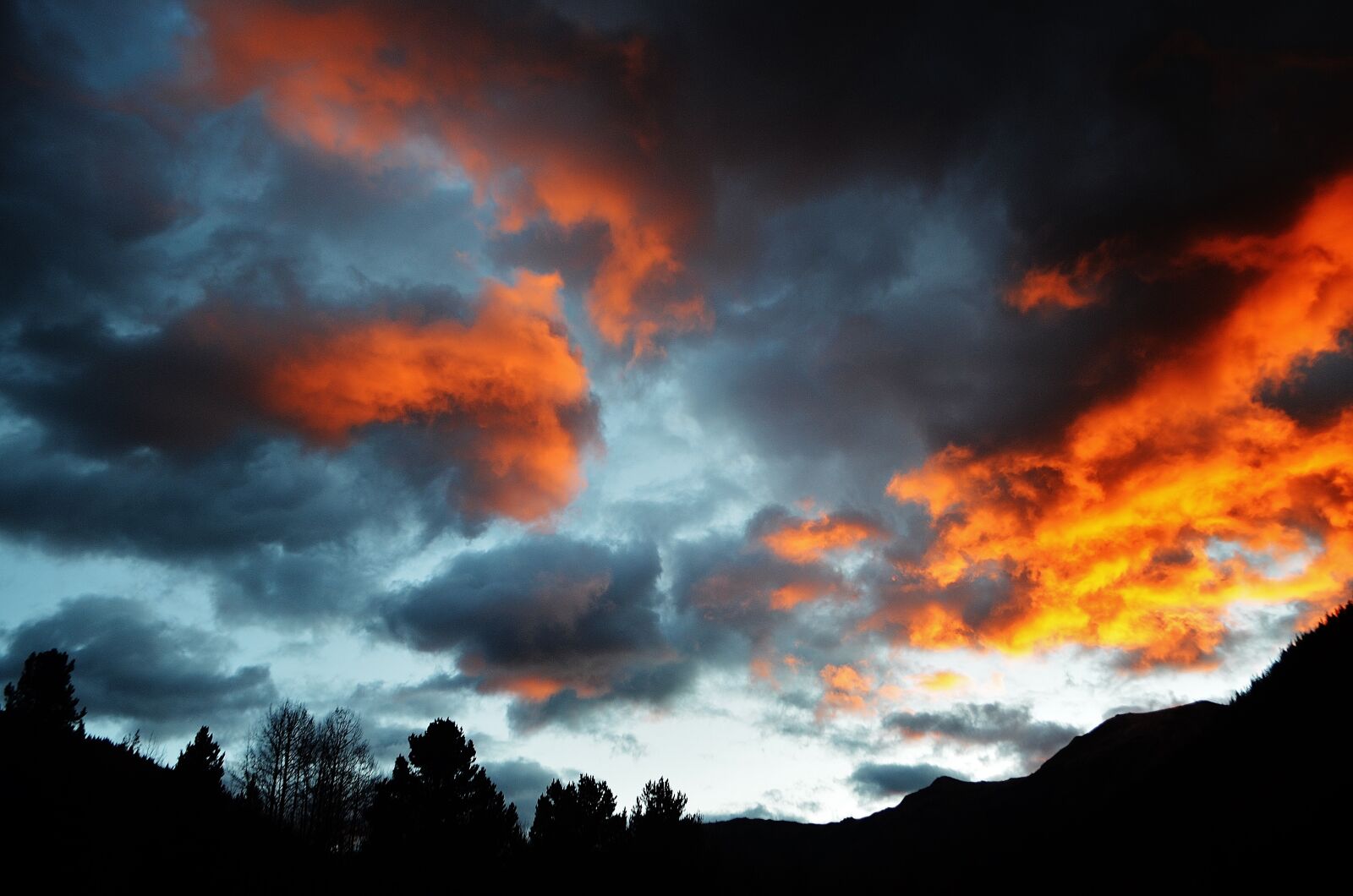 Nikon D5100 sample photo. Colorado, aspen, usa photography