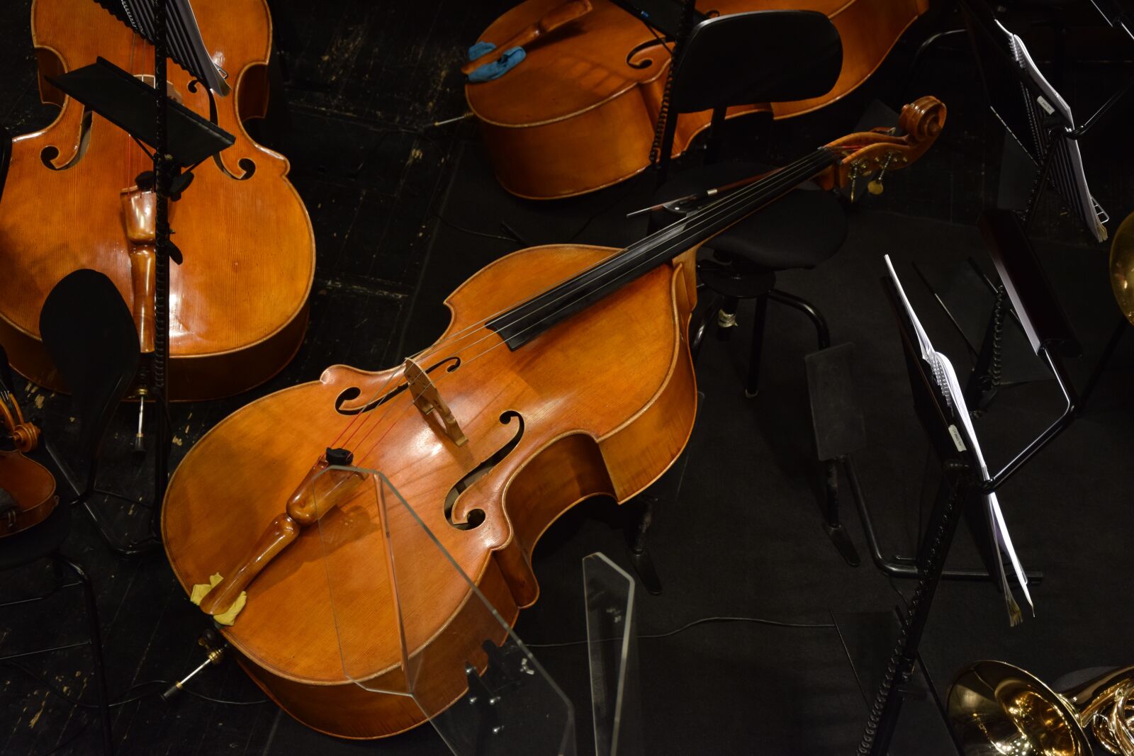 Nikon D5300 sample photo. Opera, music, violin photography