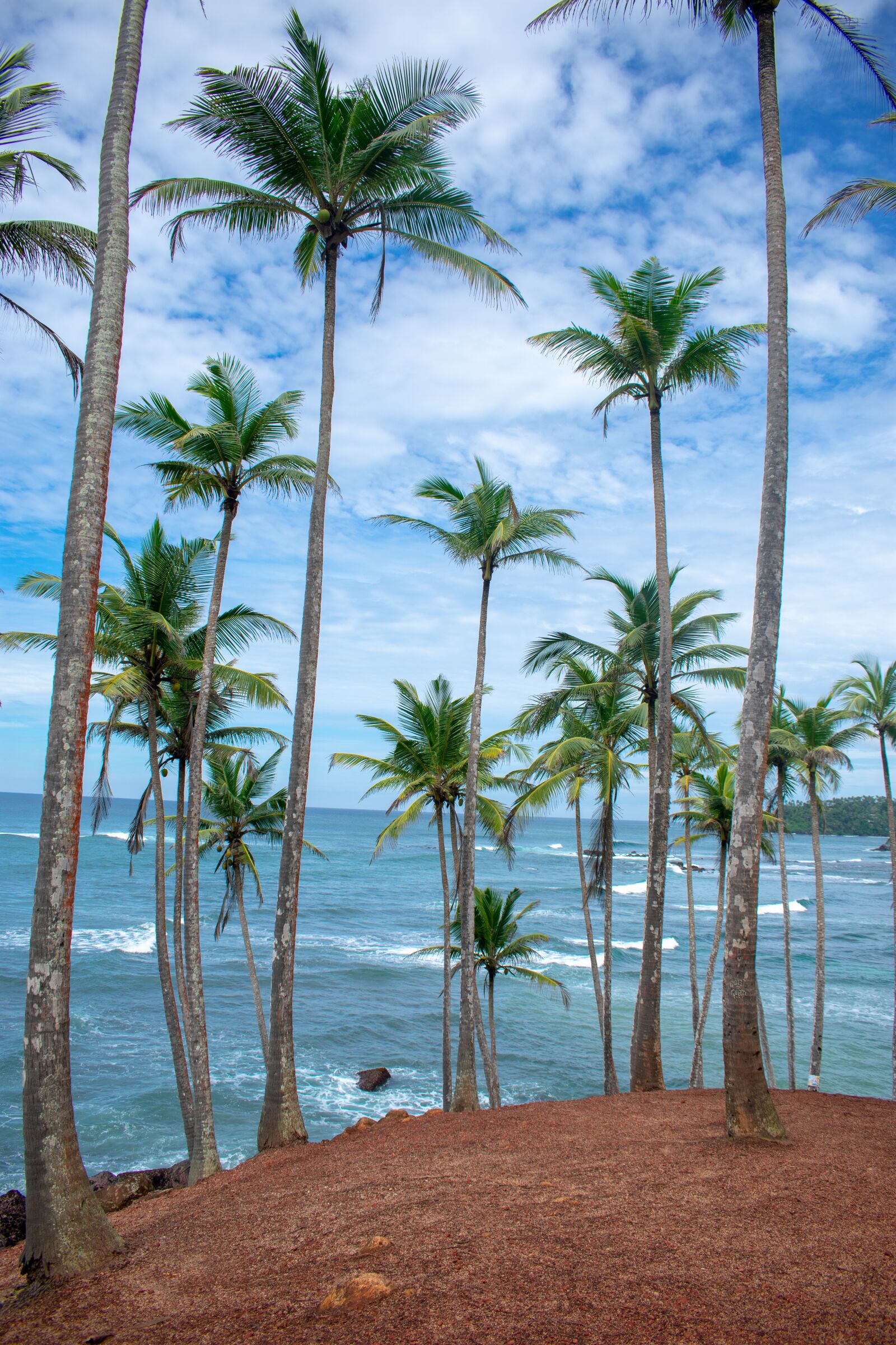 Nikon D3400 sample photo. Sri lanka, exotic, nature photography
