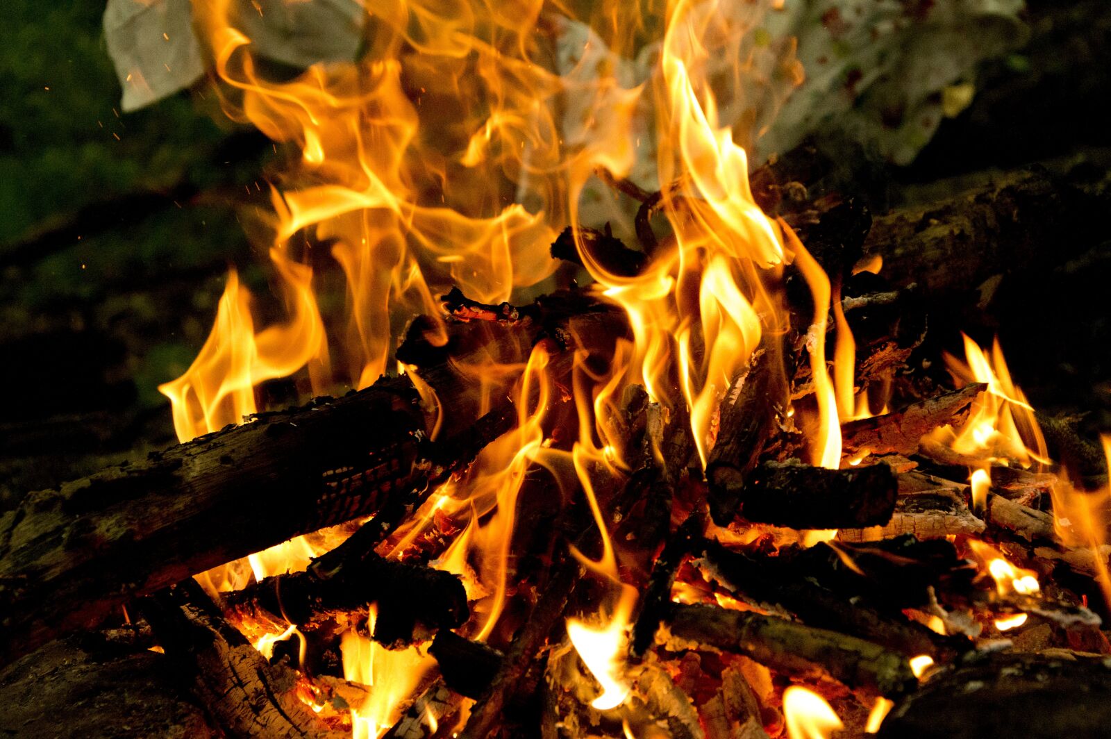 Nikon D3200 sample photo. Fire, flame, koster photography