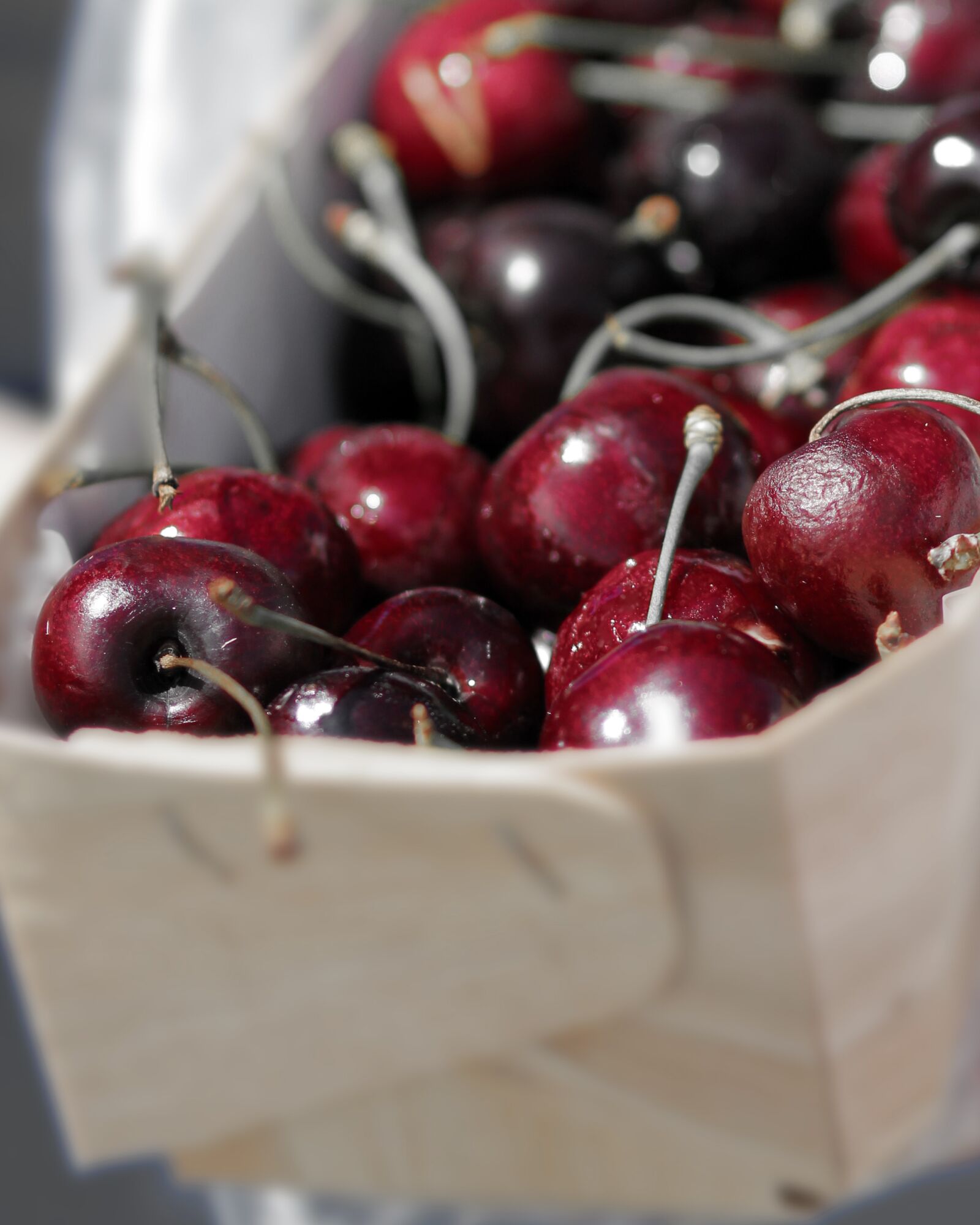 Canon EOS 550D (EOS Rebel T2i / EOS Kiss X4) sample photo. Cherries, fruit, belgium photography