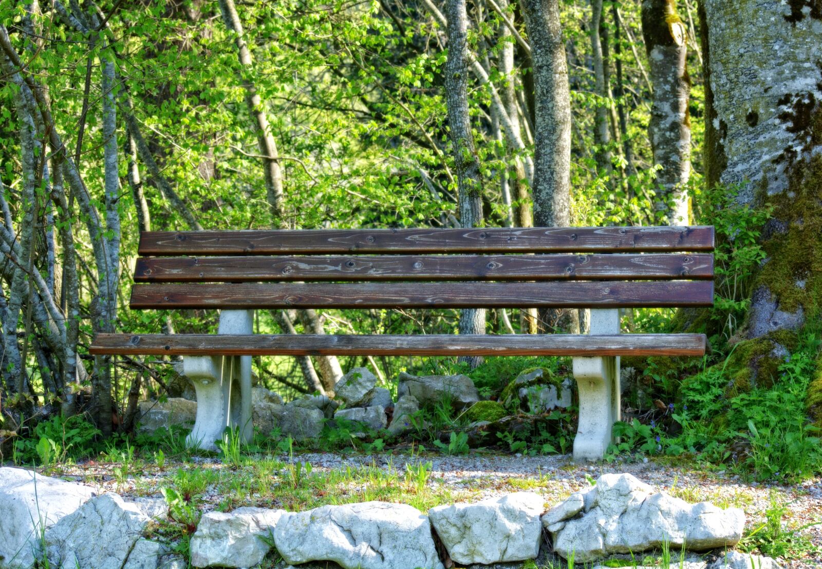 55.0-200.0mm f/4.0-f/5.6 sample photo. Bench, bank, nature photography