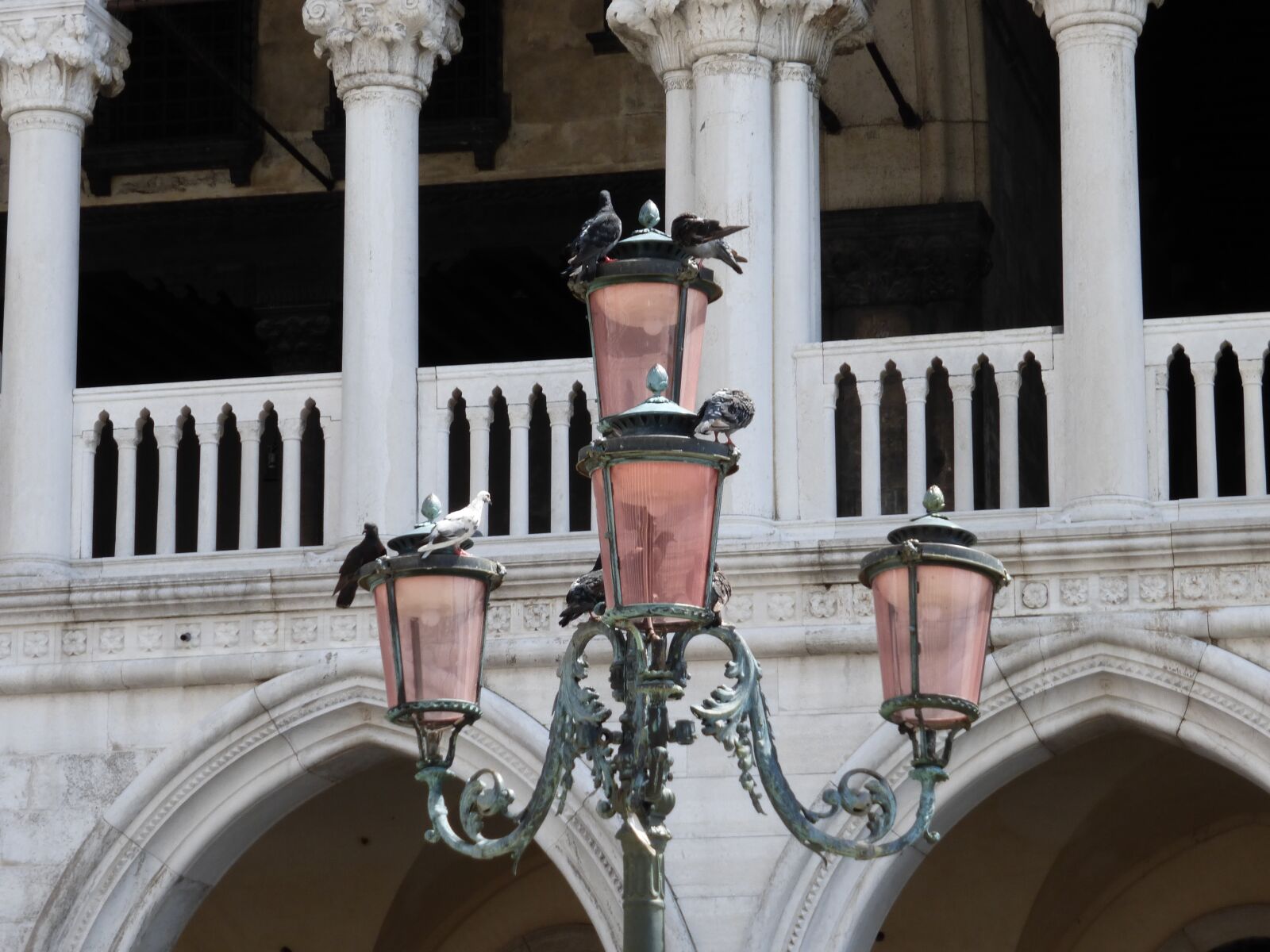 Panasonic Lumix DMC-ZS25 (Lumix DMC-TZ35) sample photo. Venice, streets, lamp photography