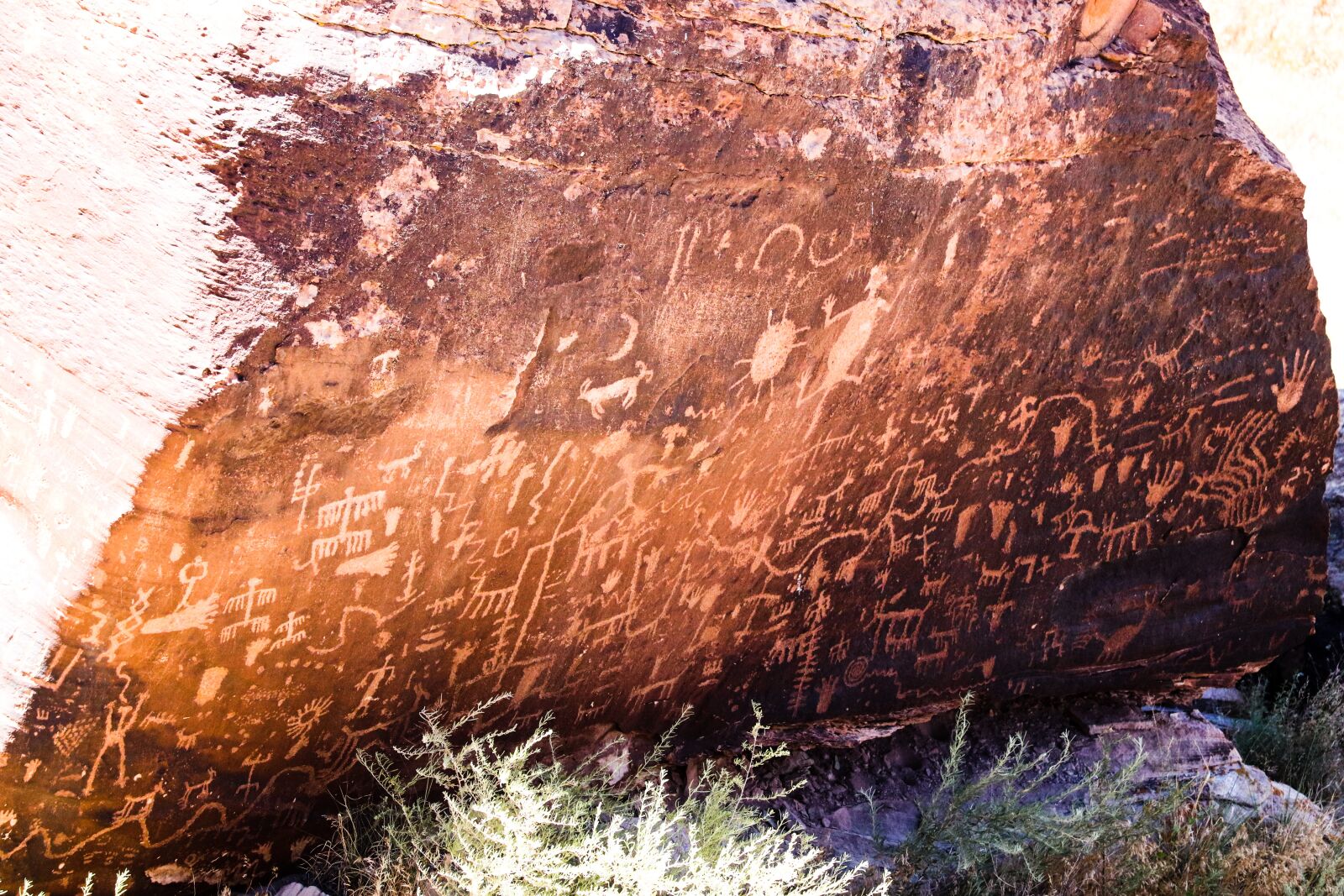 Canon EOS 200D (EOS Rebel SL2 / EOS Kiss X9) sample photo. Petroglyphs, arizona, petroglyph photography