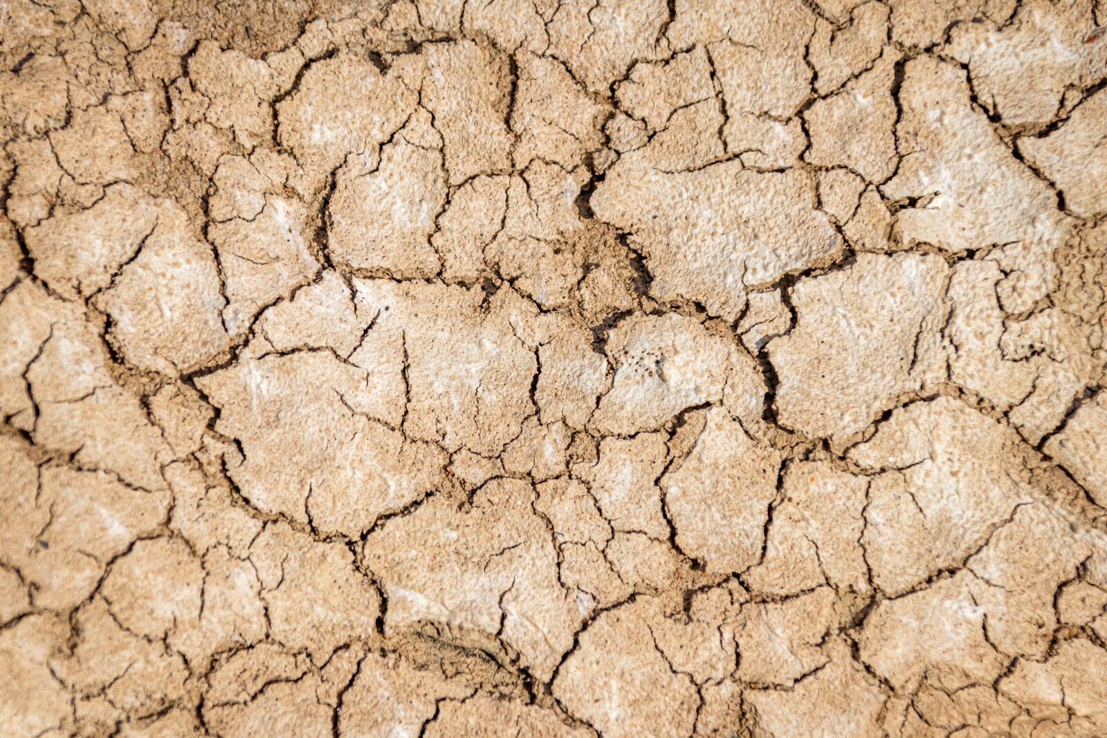 Canon EOS 80D sample photo. Drought, ground, earth photography