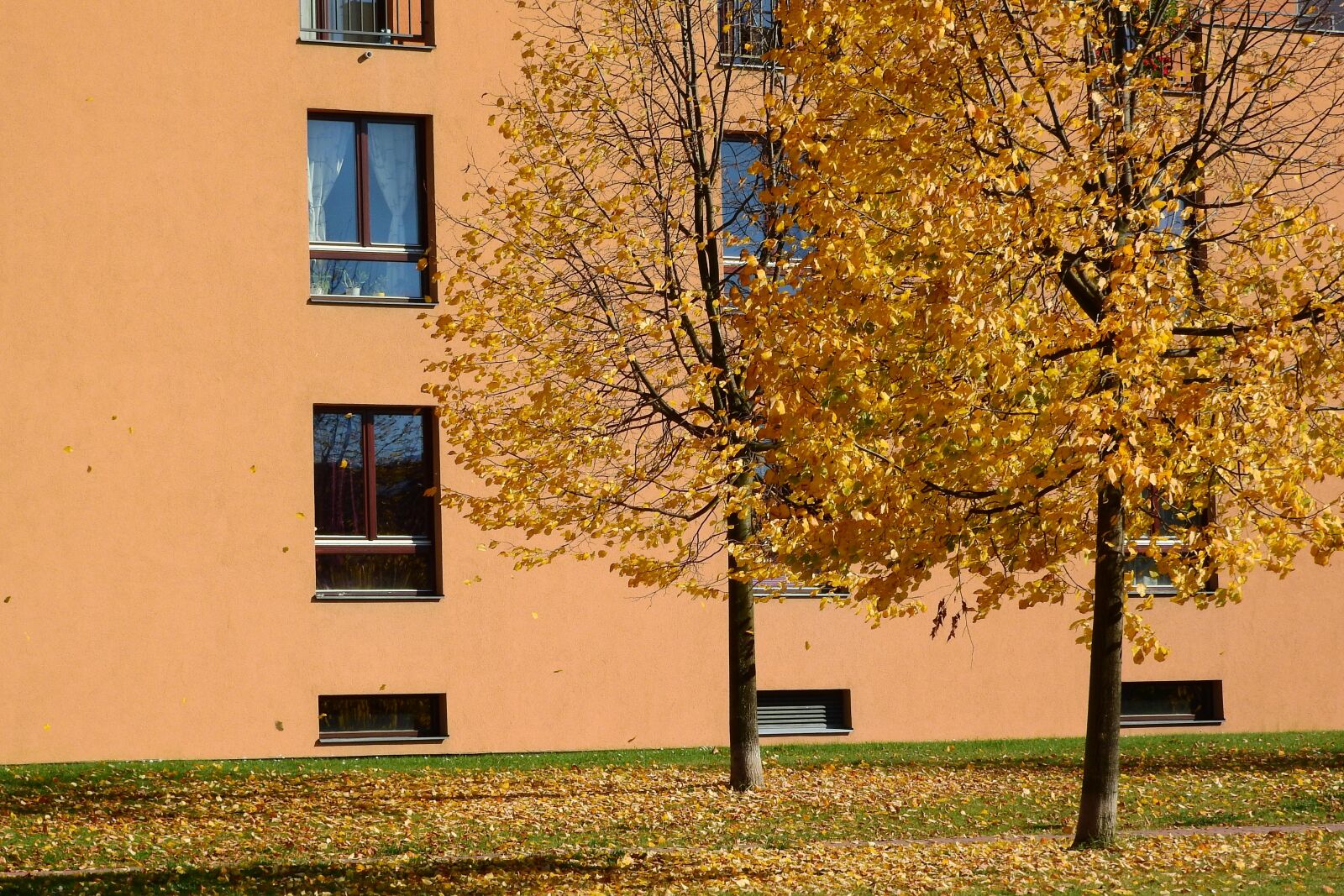 Nikon Coolpix P610 sample photo. Autumn in the city photography