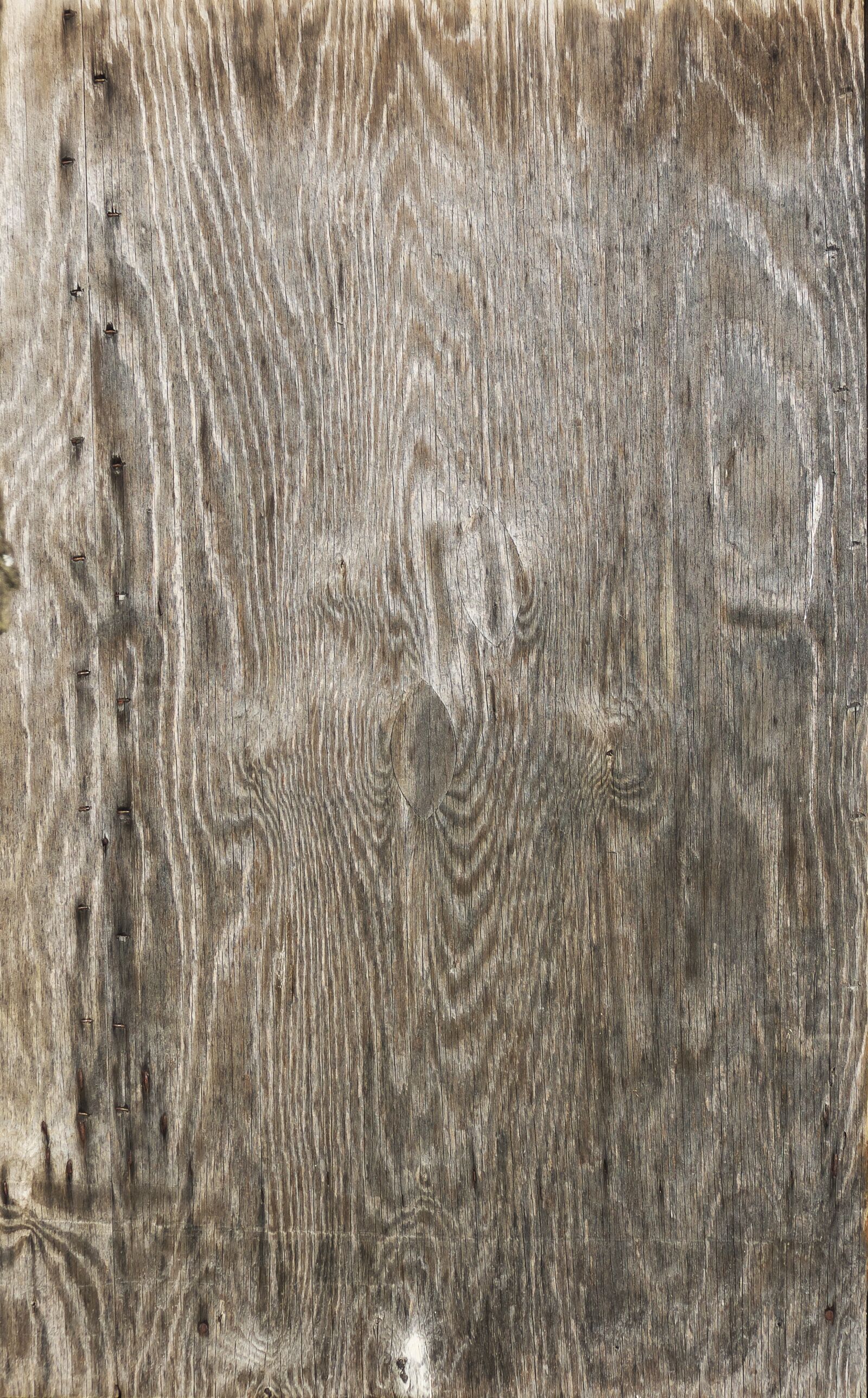 Panasonic Lumix DMC-FZ1000 sample photo. Joiner plate, veneered, wood photography