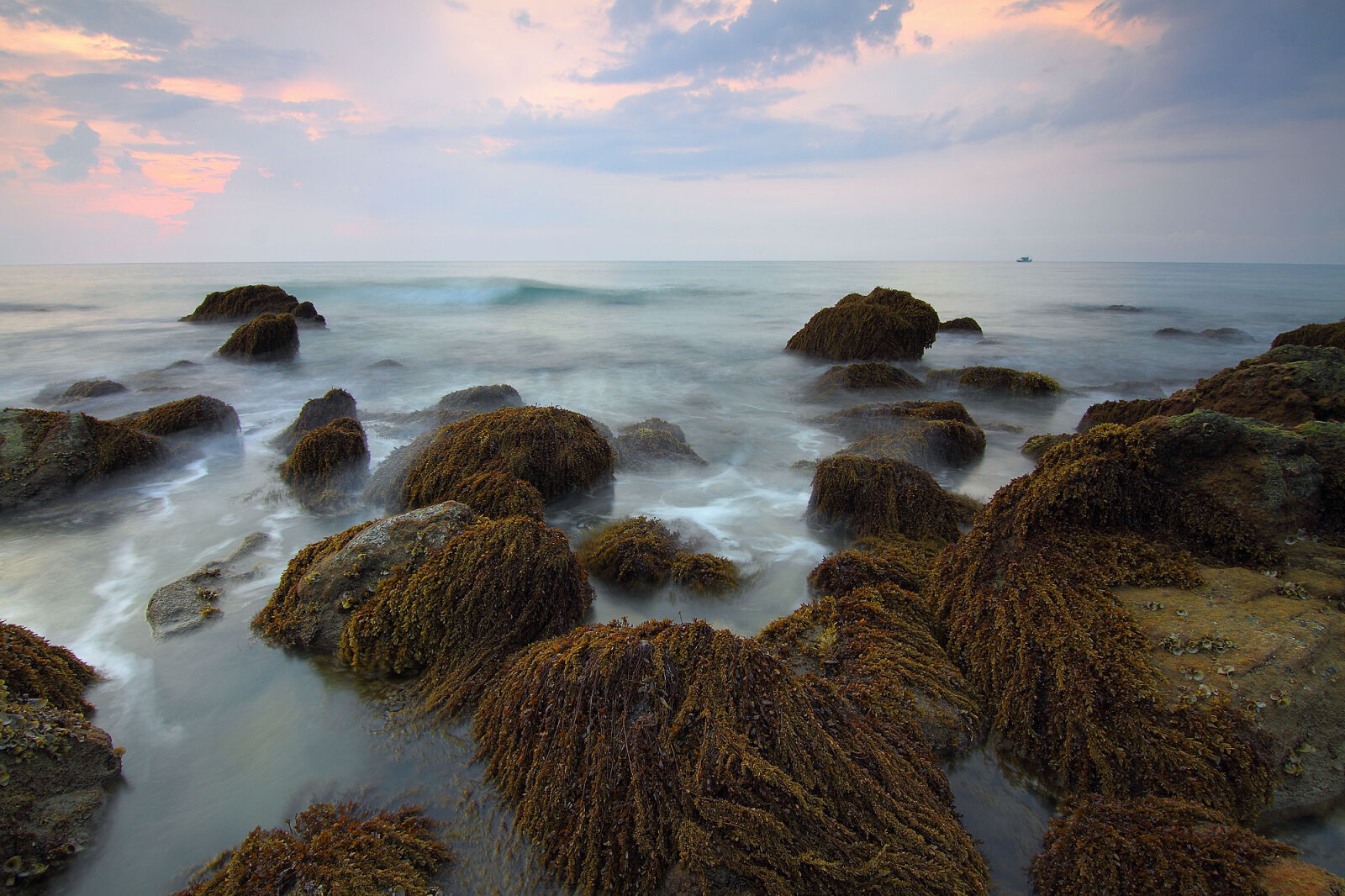 Canon EOS 50D sample photo. Beach, clouds, landscape, moss photography