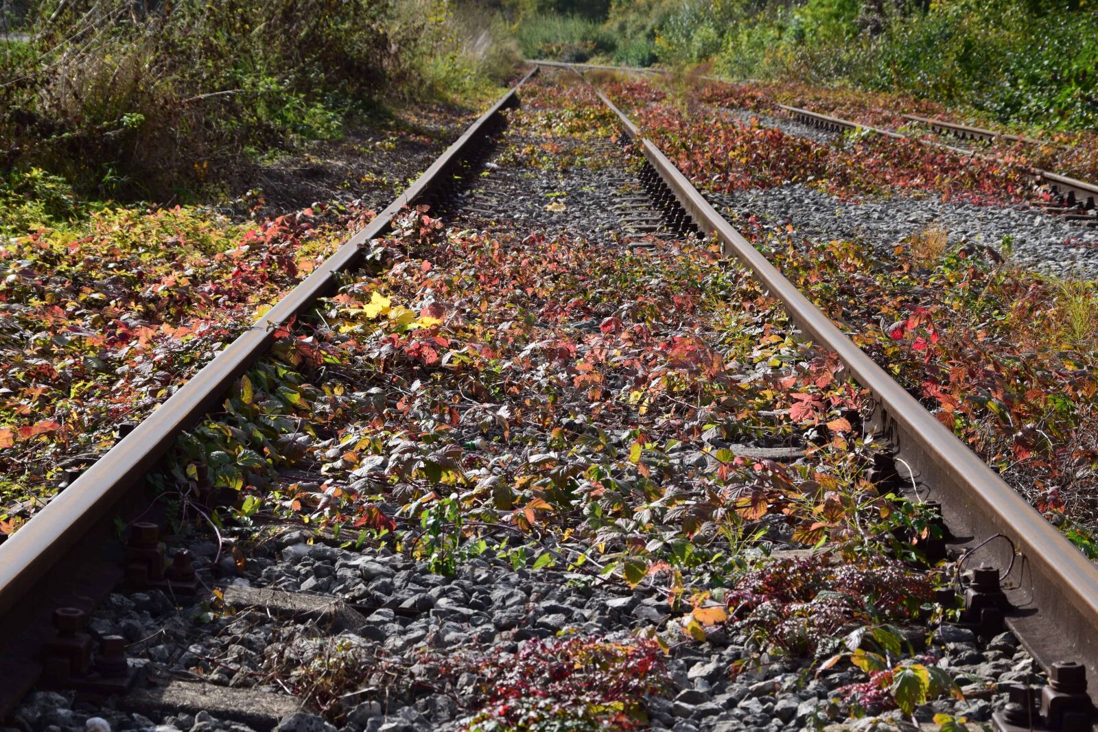 Nikon D3300 sample photo. Railroad, stone, bush, nature photography
