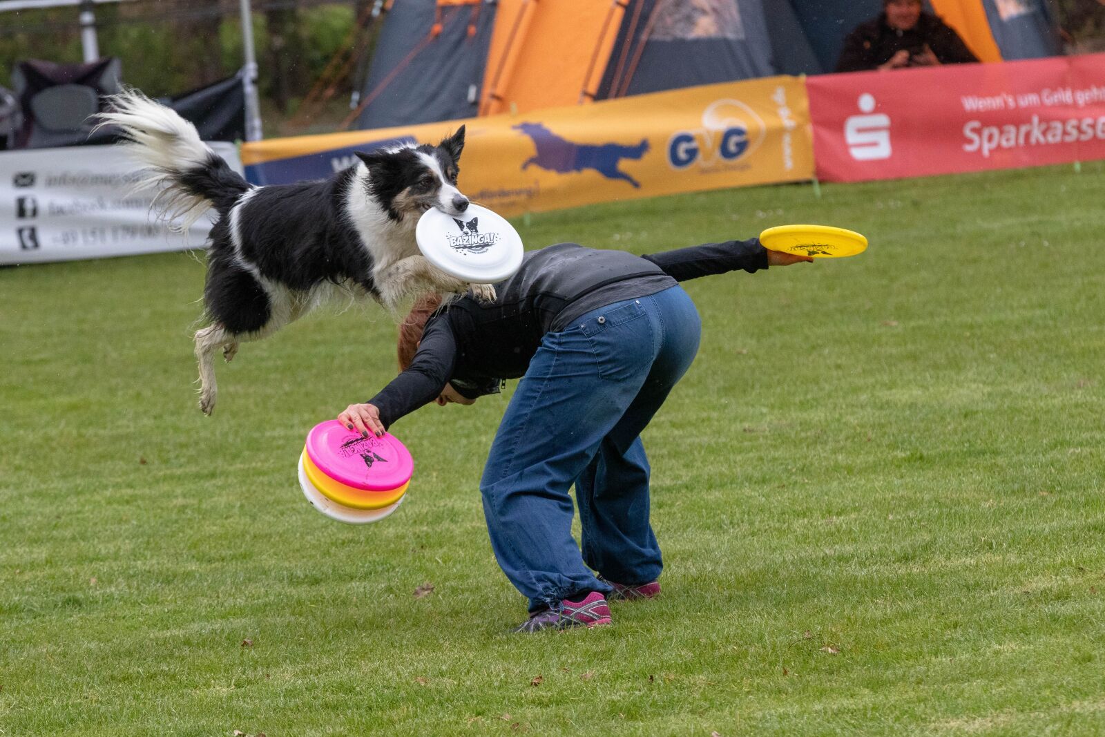 Canon EOS 80D sample photo. Frisbee, dogfrisbee, dog photography