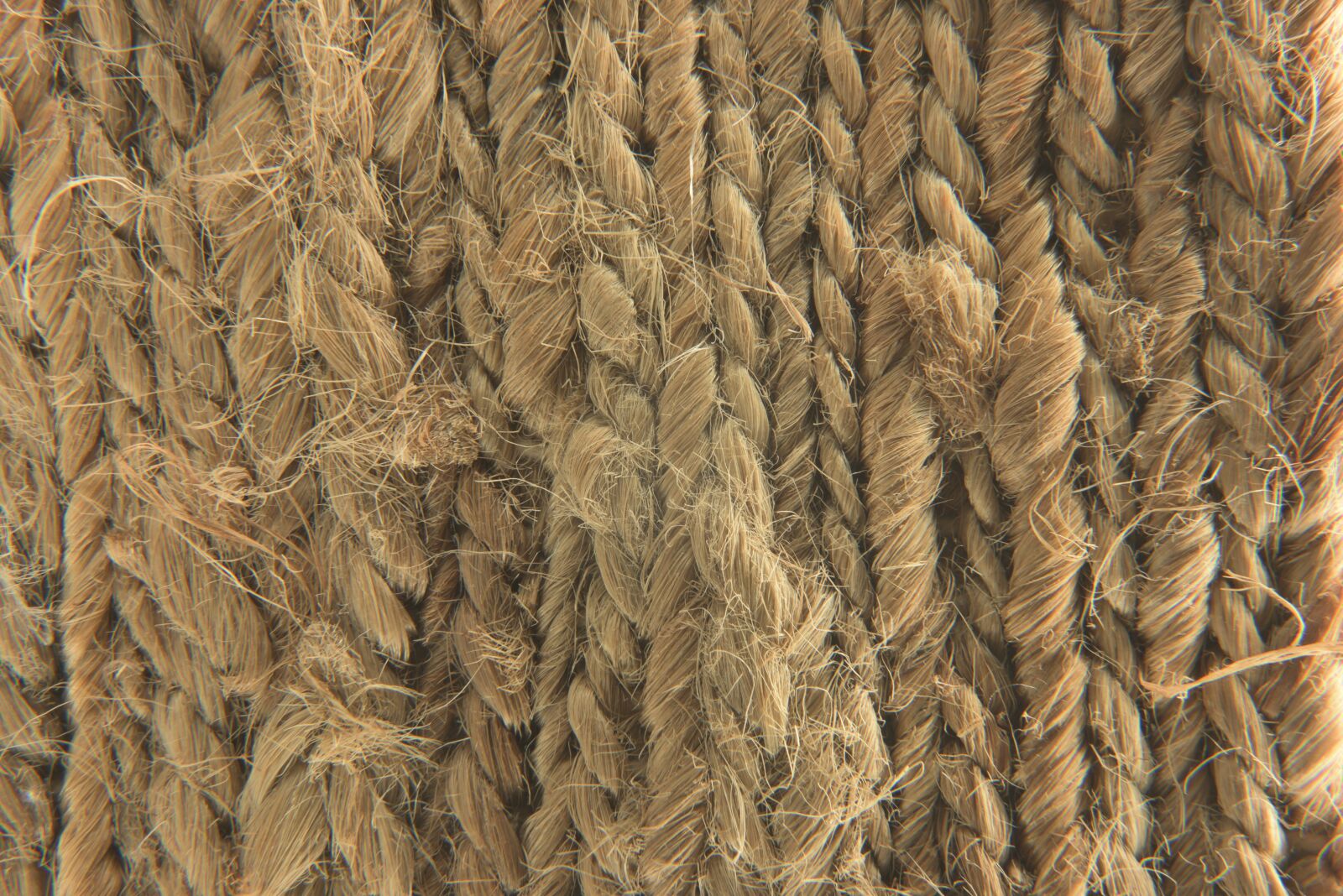 Nikon D810 sample photo. Art school rehab, natural photography