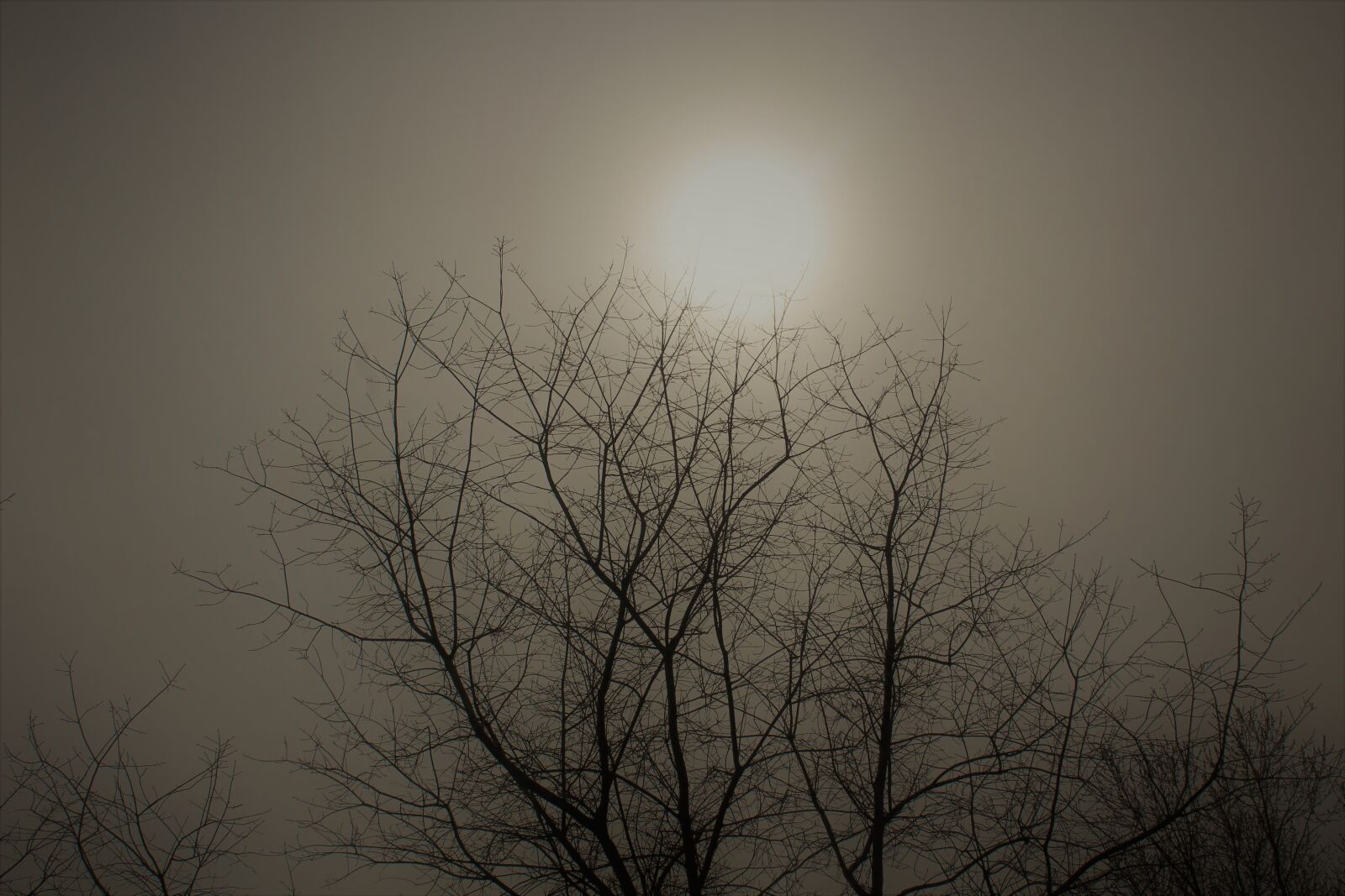 Canon EOS 1200D (EOS Rebel T5 / EOS Kiss X70 / EOS Hi) sample photo. Fog, foggy, landscape photography