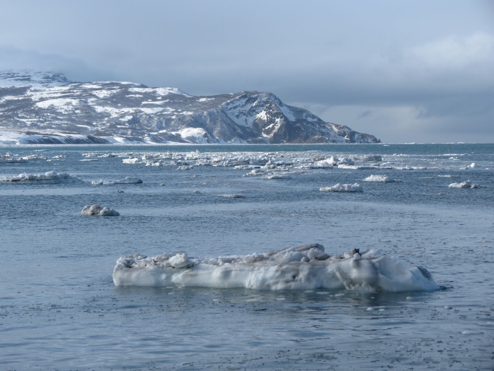 Самое холодное море