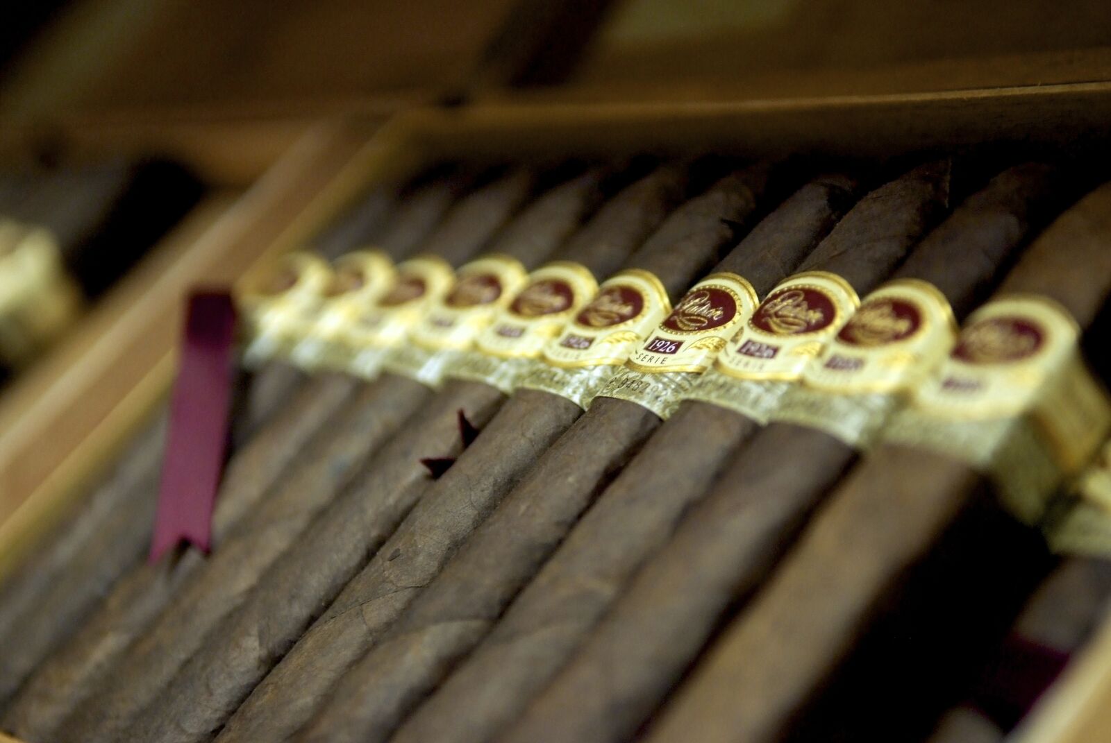 Fujifilm FinePix S5 Pro sample photo. Cigar, cigars, cigars in photography