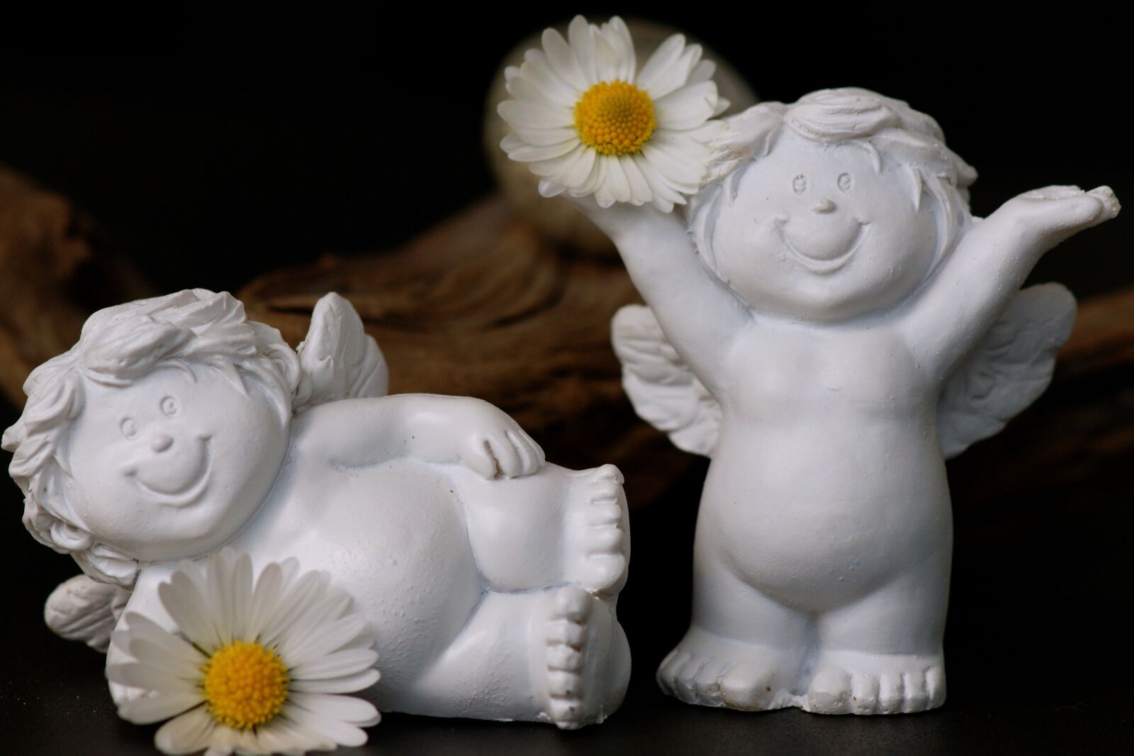 Sony Alpha DSLR-A350 sample photo. Guardian angel, daisy, cheerful photography