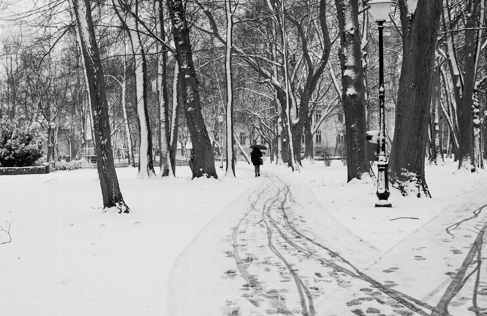 Olympus PEN E-PL6 sample photo. Winter, snow, landscape photography