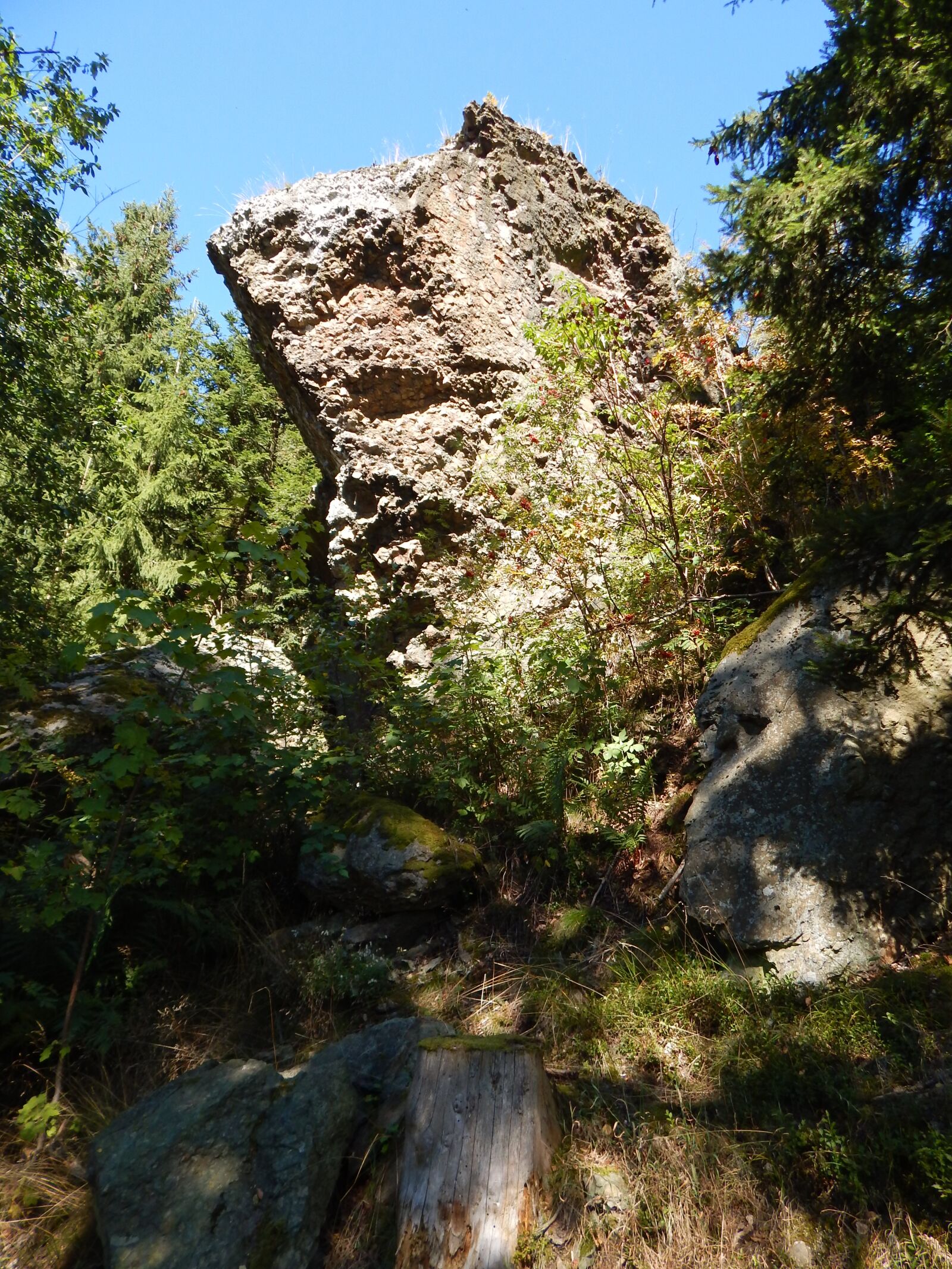 Nikon Coolpix L830 sample photo. Rock, stone, forest photography
