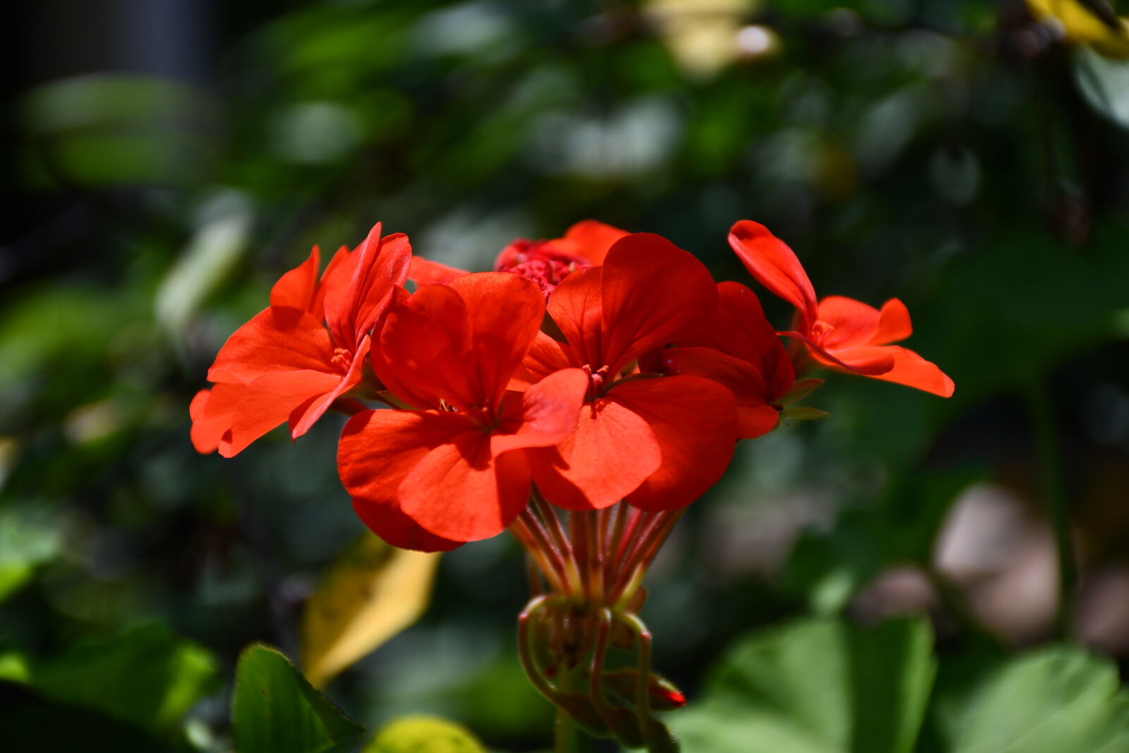 Nikon D7500 sample photo