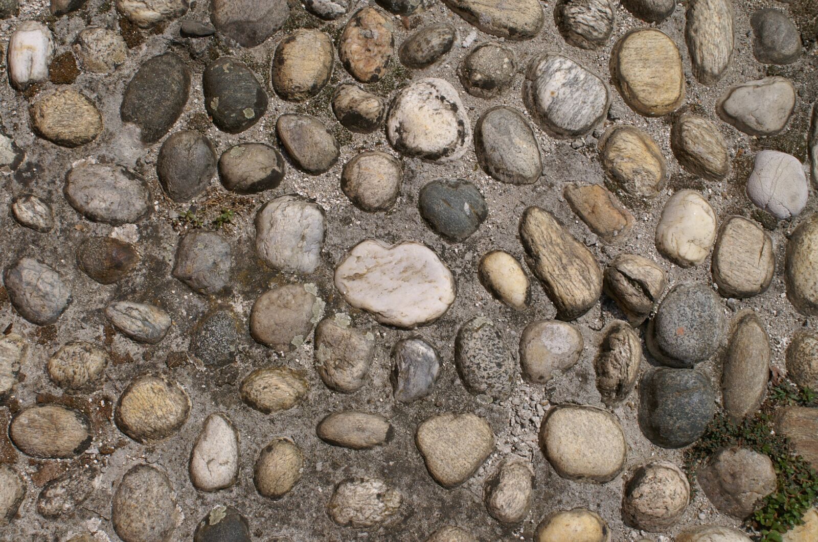 KONICA MINOLTA DYNAX 5D sample photo. Stones, patch, form photography