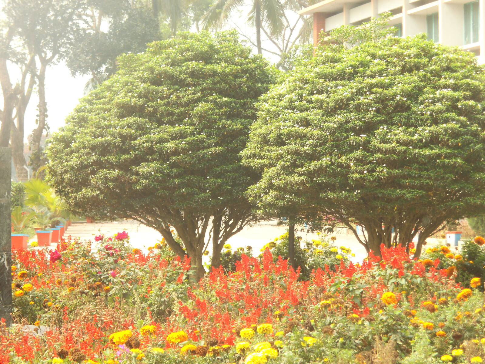 Fujifilm FinePix JZ250/JZ260 sample photo. Bangladesh, agricultural, university photography