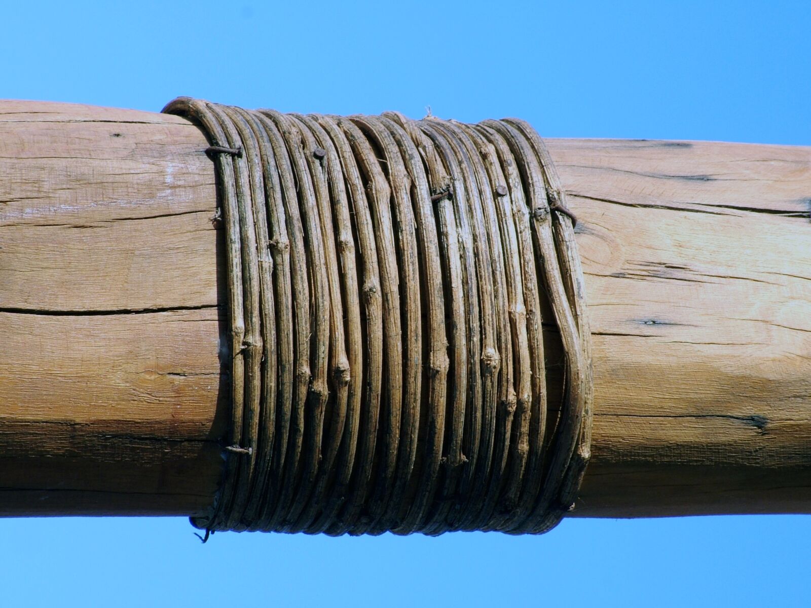 Fujifilm FinePix S7000 sample photo. Trunk, rope, loop photography