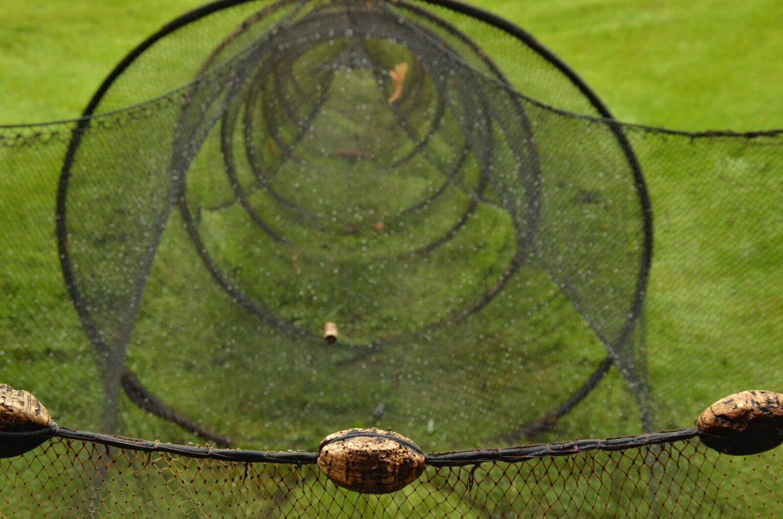 Nikon D7000 sample photo. Just, fishnet, mesh photography