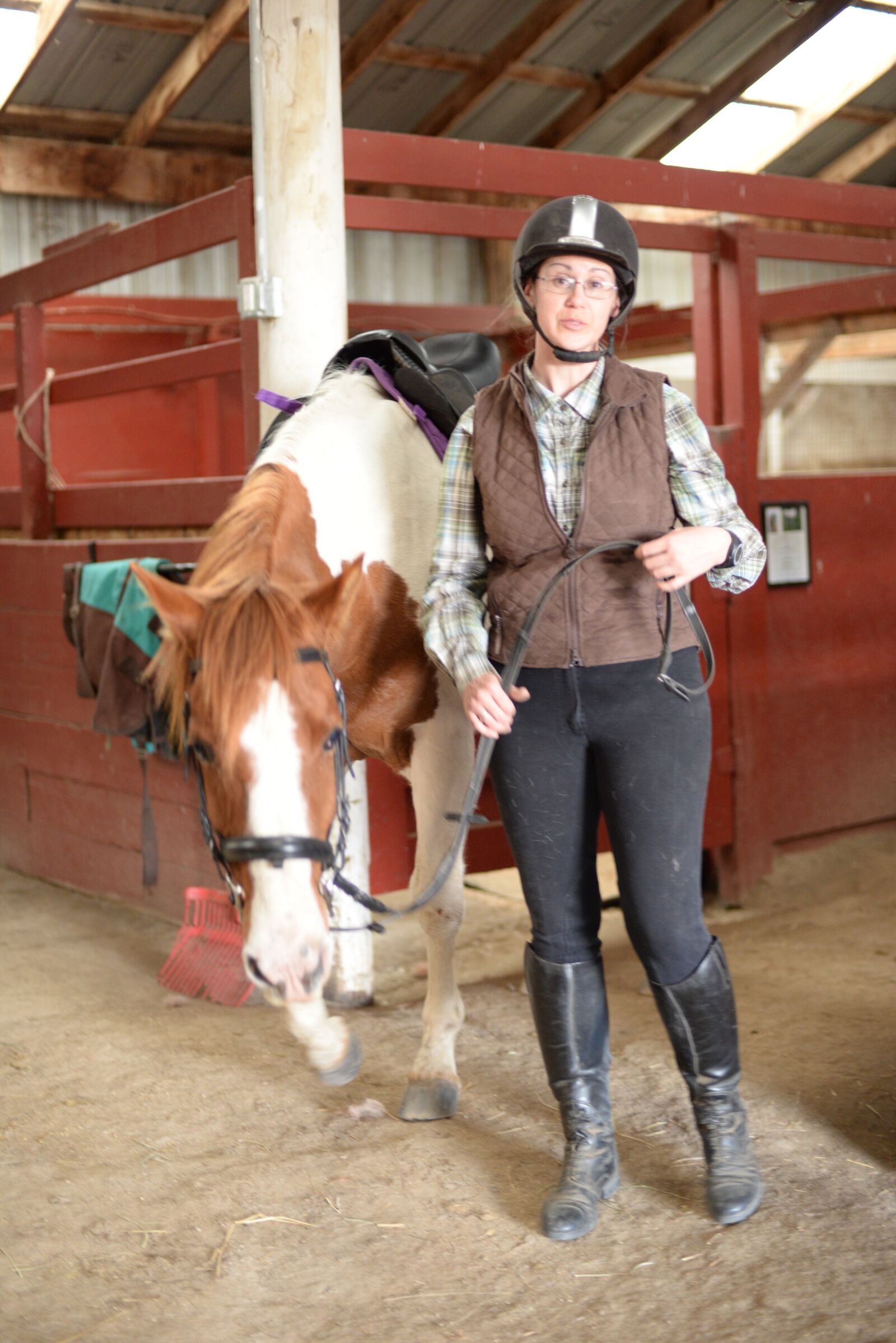 Nikon D610 sample photo. Stables, horse, farm photography