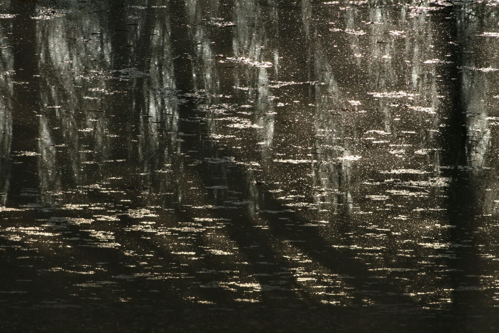 Canon EOS 400D (EOS Digital Rebel XTi / EOS Kiss Digital X) sample photo. Reflection, water, lake photography