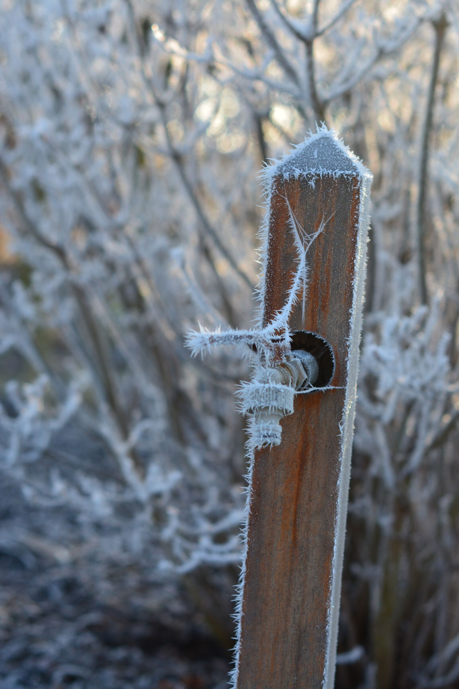 Nikon D7100 sample photo. Faucet, winter, frozen photography