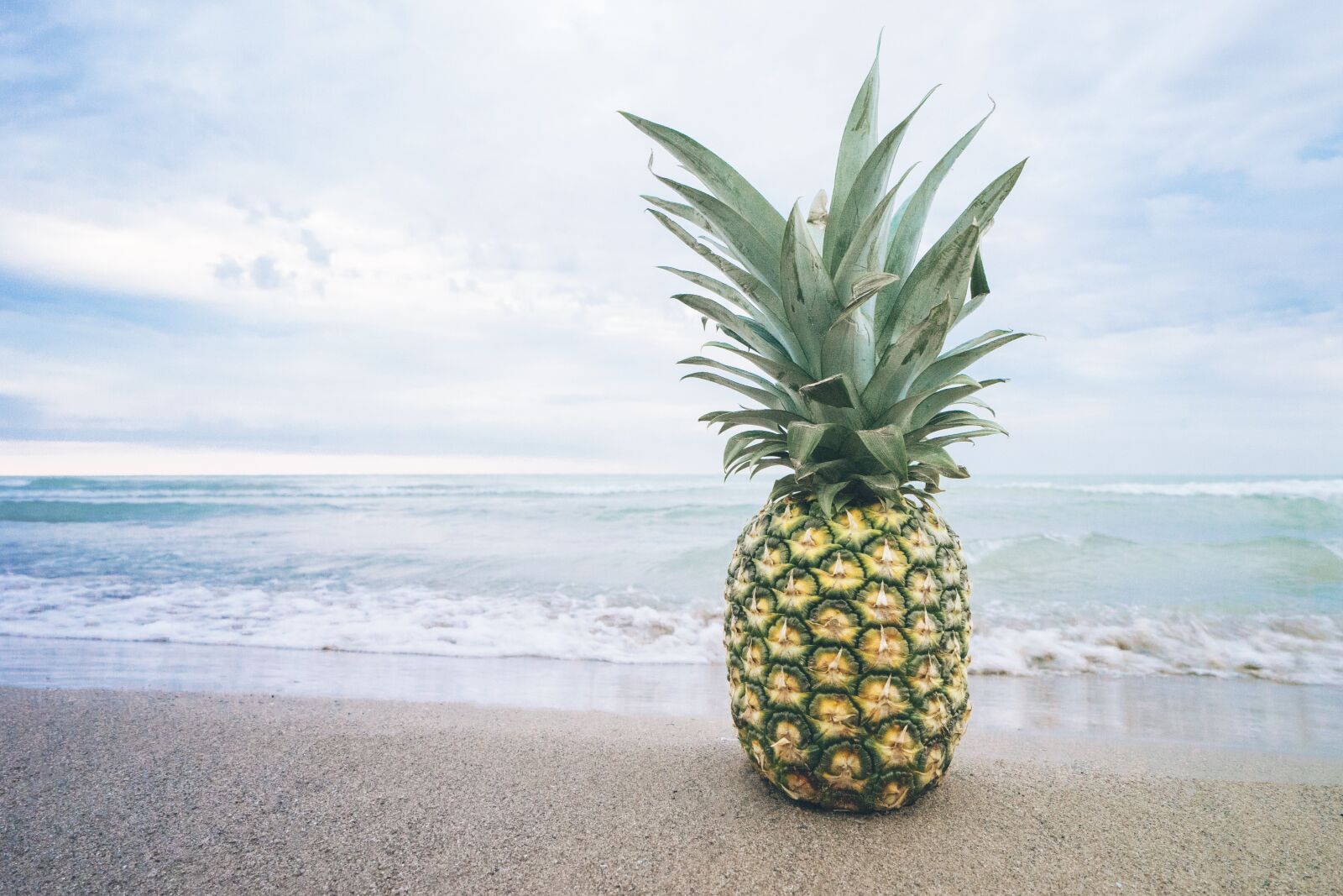 Sony a7 II + Sony Vario-Tessar T* FE 16-35mm F4 ZA OSS sample photo. Beach, fruit, lake photography