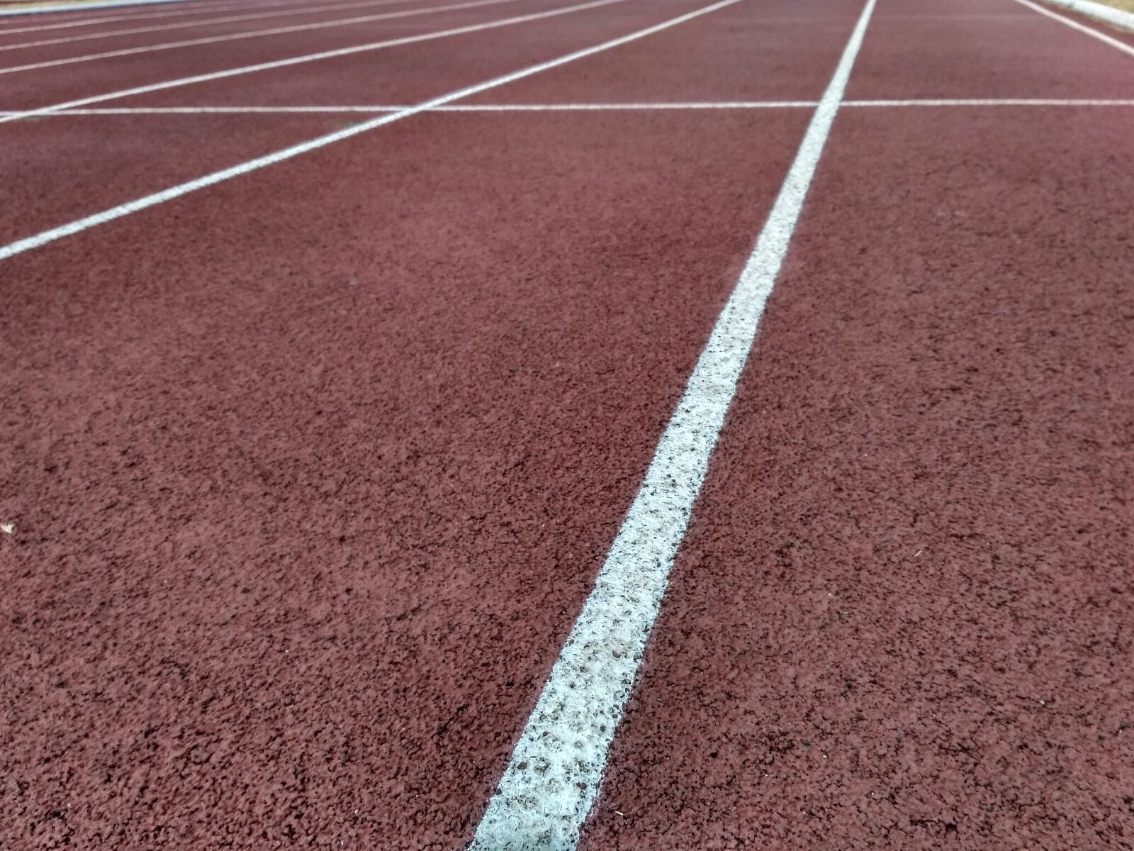 Xiaomi Redmi 3S sample photo. Path, racing, athletics photography