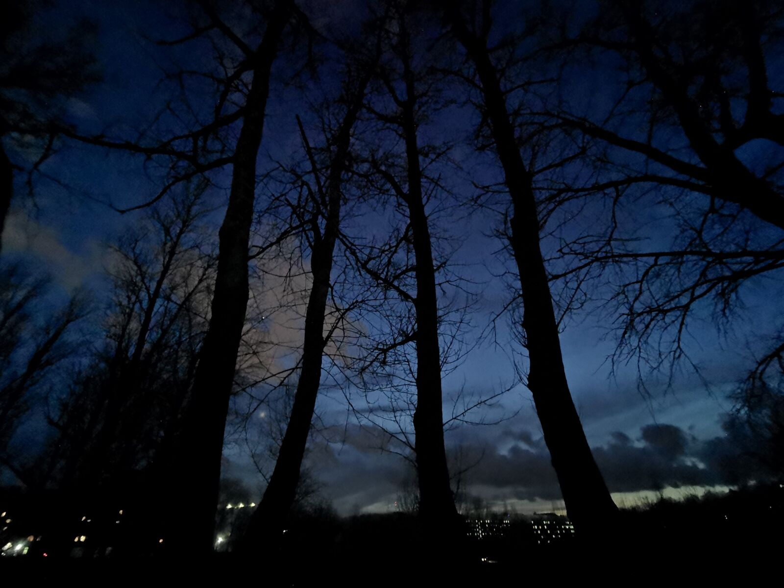 HUAWEI P30 sample photo. Night, tree, sky photography