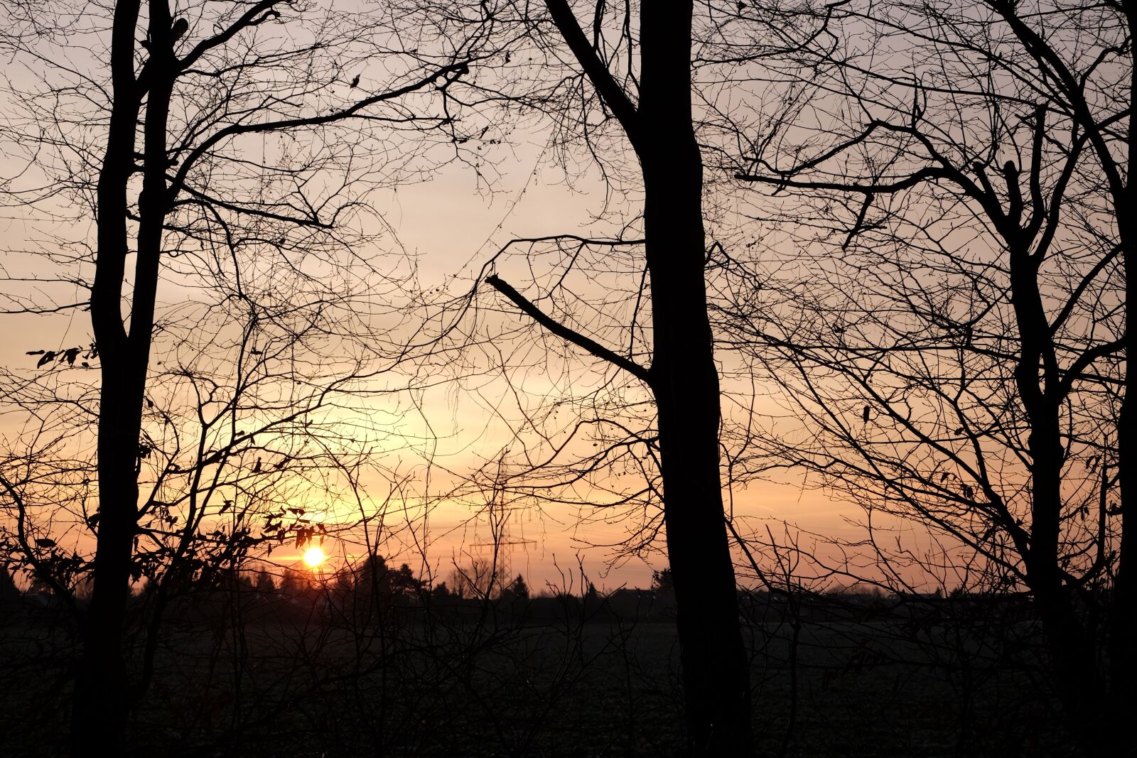 Fujifilm X-T1 sample photo. Krefeld, sunrise, trees photography