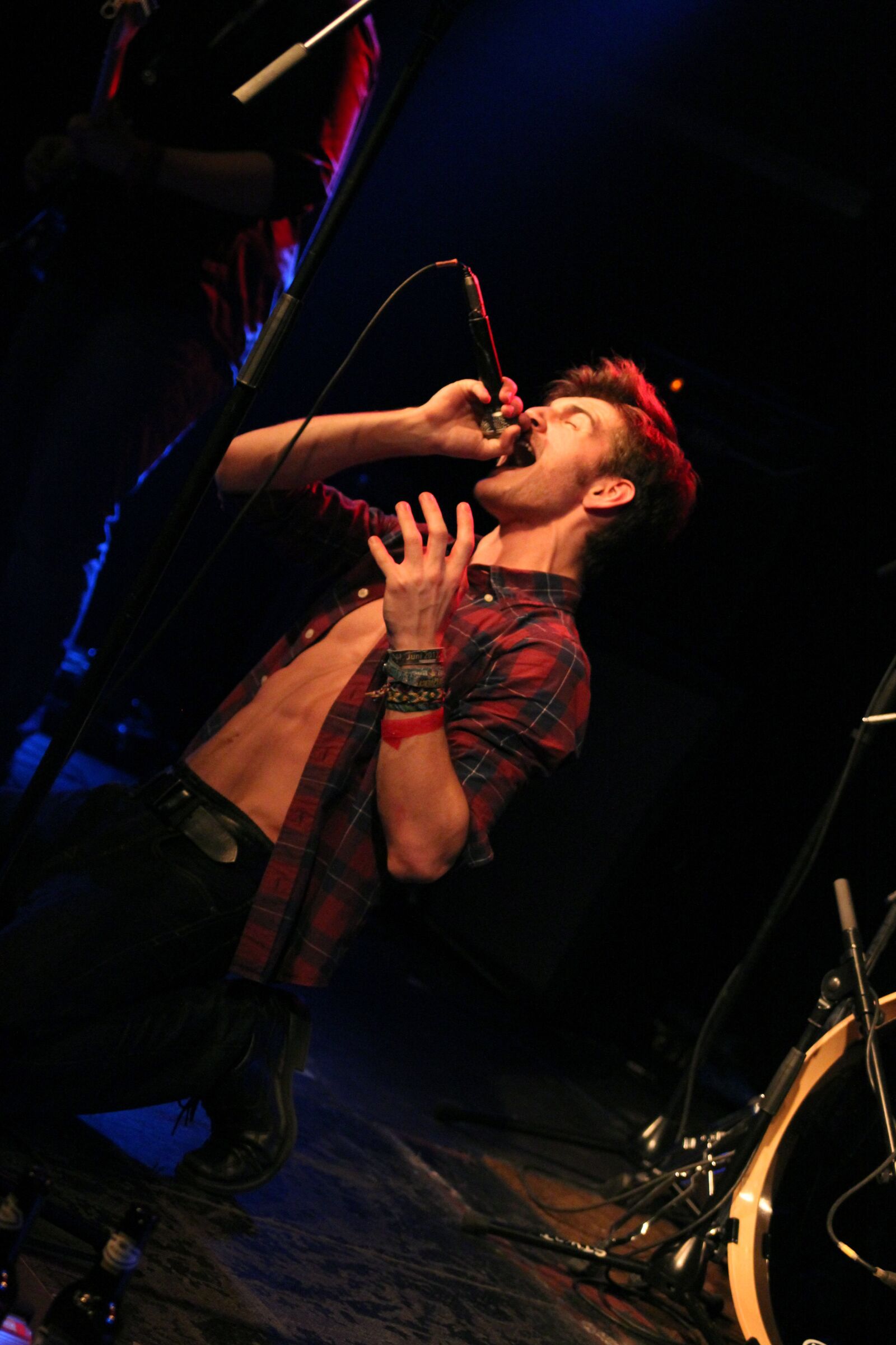 Canon EOS 600D (Rebel EOS T3i / EOS Kiss X5) sample photo. Singer, musician, microphone photography