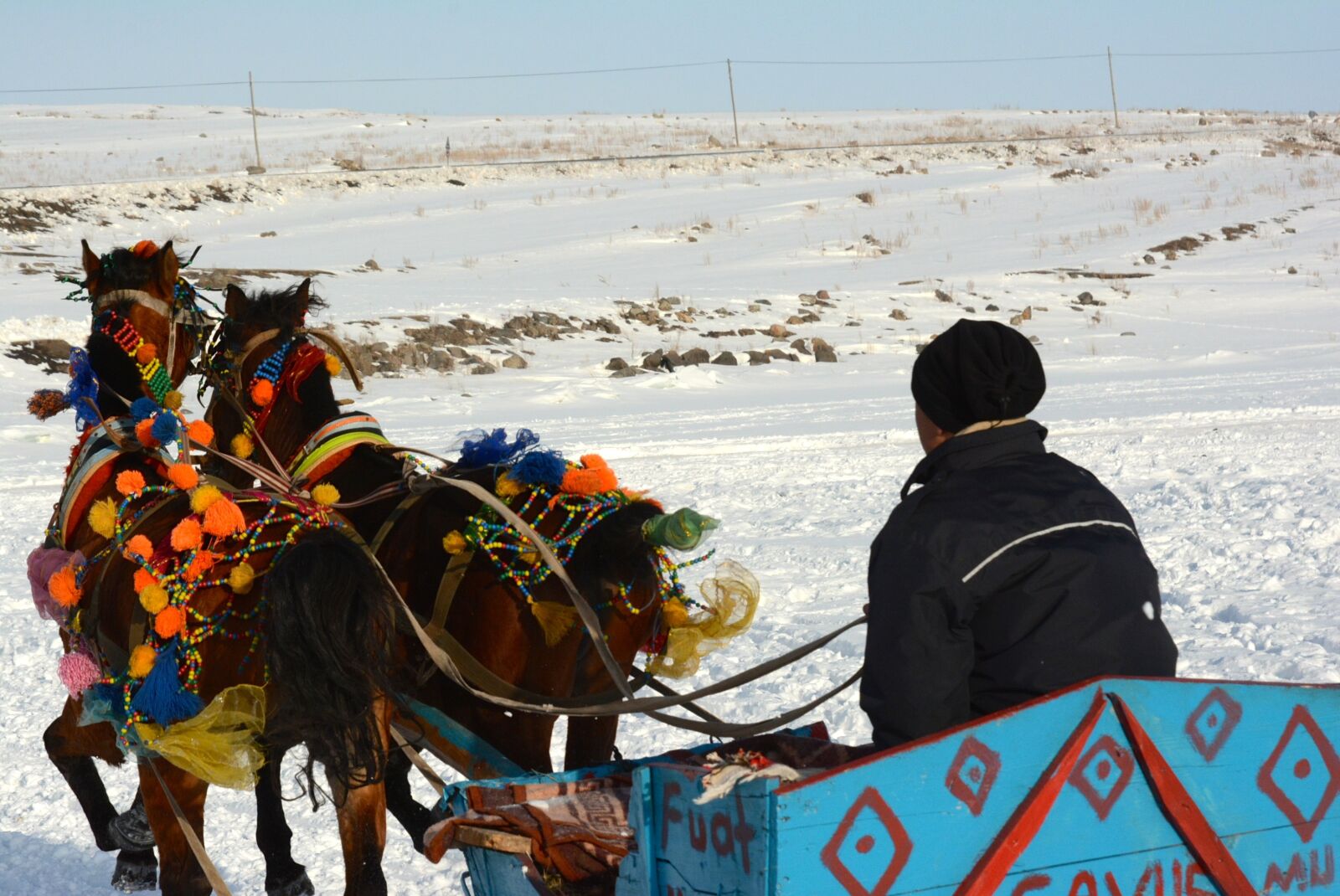 Nikon D7100 sample photo. Lake, ice, the horses photography