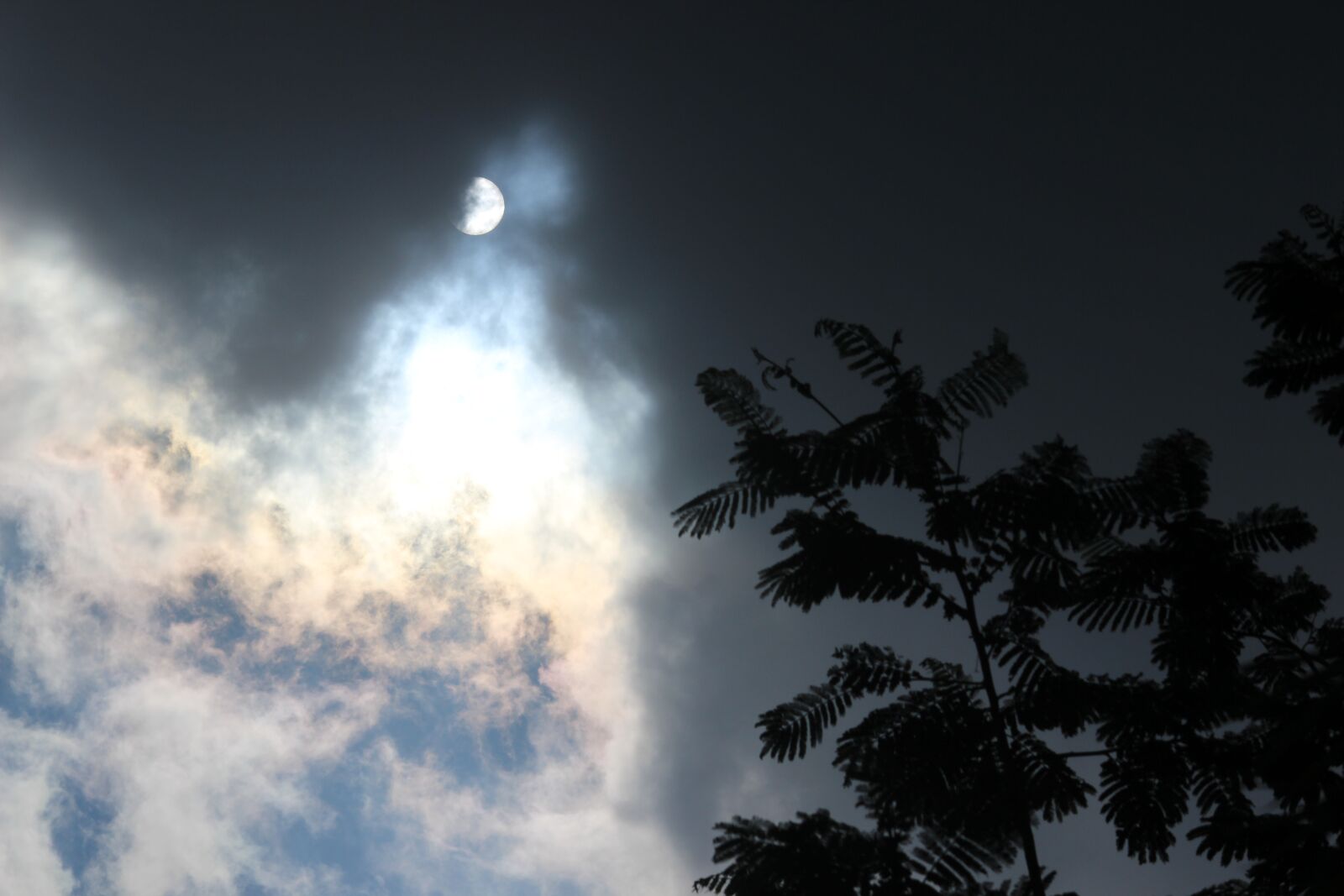 Canon EF-S 55-250mm F4-5.6 IS II sample photo. Sun, epic, sunrise photography