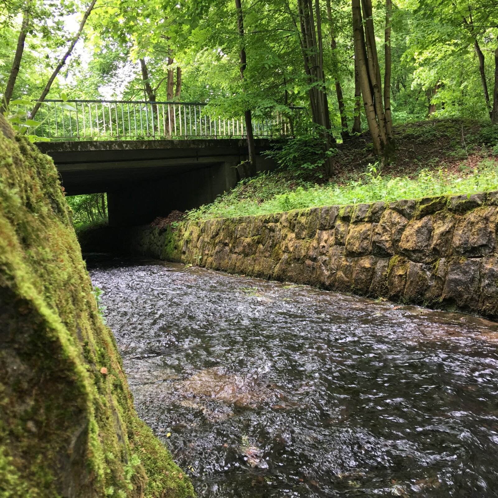 iPhone 6s Plus back camera 4.15mm f/2.2 sample photo. Waterfall, water, river photography