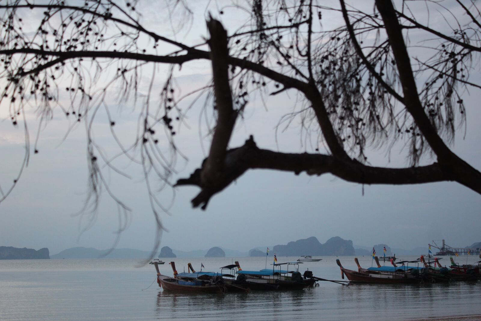 Canon EOS 600D (Rebel EOS T3i / EOS Kiss X5) sample photo. Boats, motif, tree photography