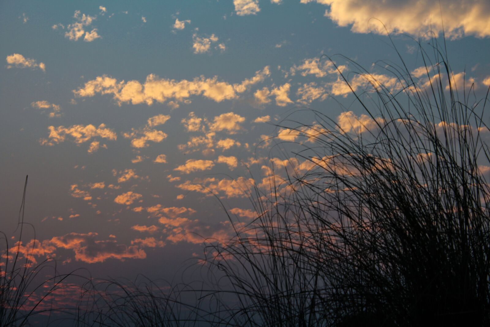 Canon EOS 1200D (EOS Rebel T5 / EOS Kiss X70 / EOS Hi) sample photo. Nature, sky, landscape photography