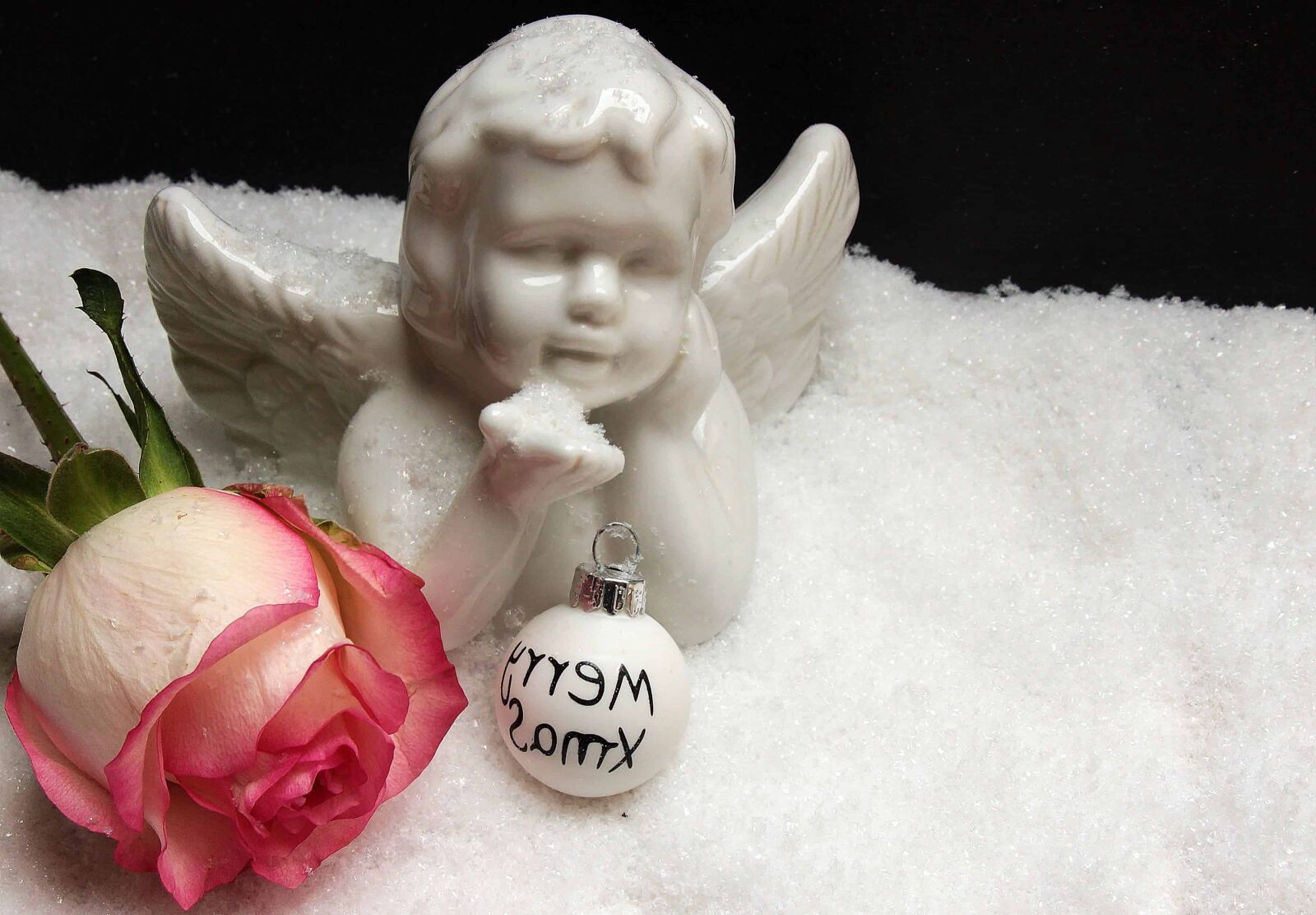 Canon EOS 550D (EOS Rebel T2i / EOS Kiss X4) sample photo. Figure, art, angel, rose photography