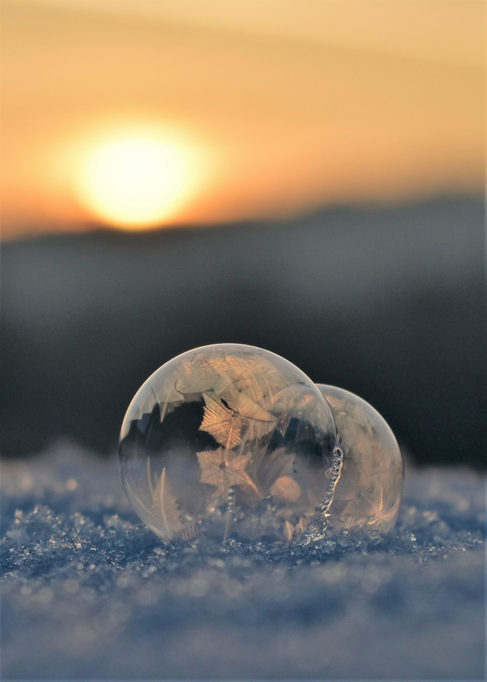 Nikon D5500 sample photo. Soap bubbles, frozen, frozen photography