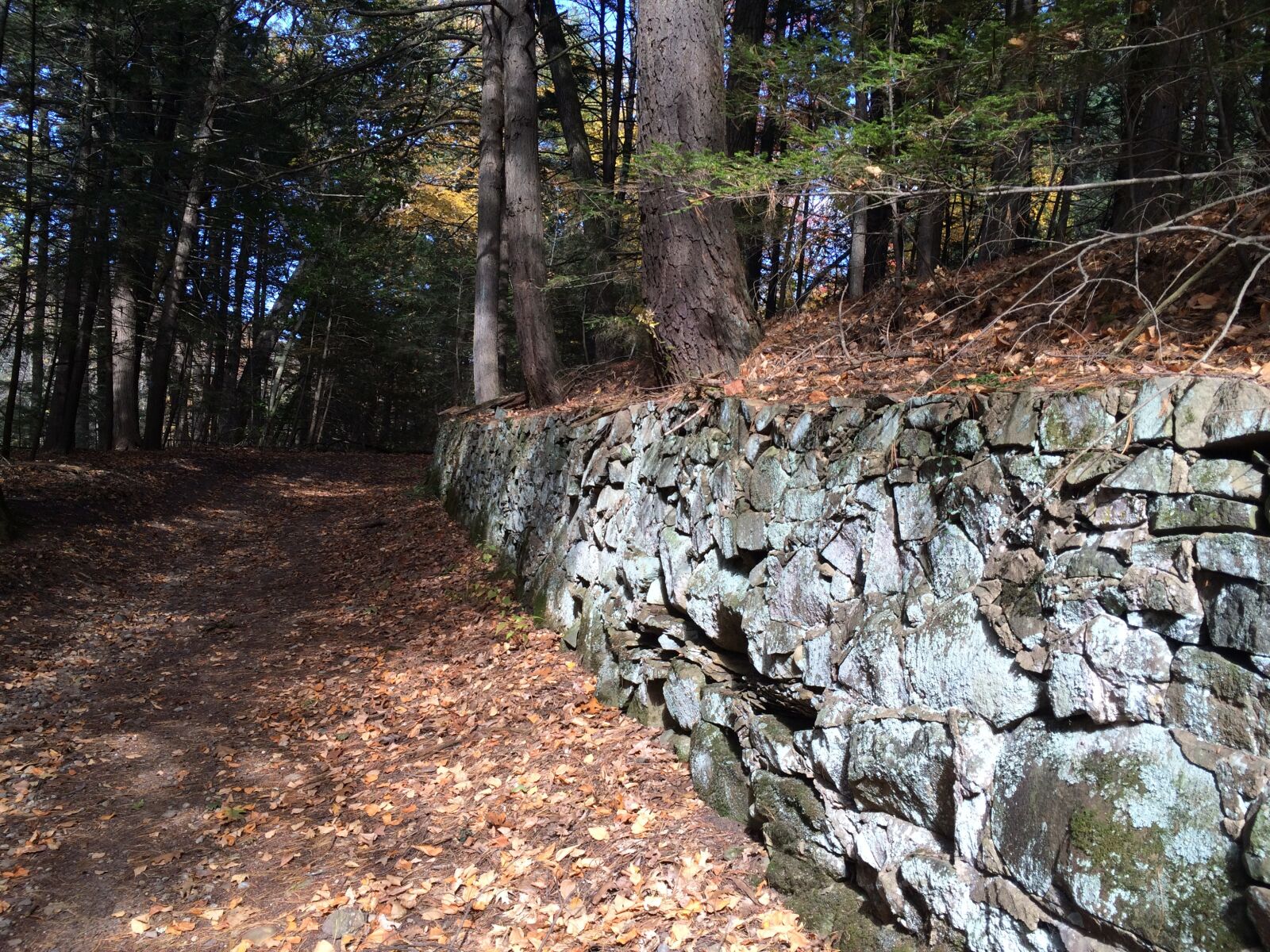 iPhone 5s back camera 4.15mm f/2.2 sample photo. Nature, stone wall, old photography