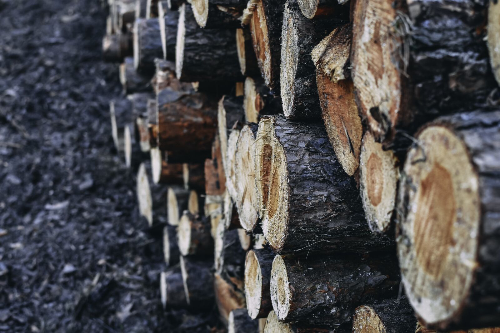 Nikon D7200 sample photo. Logs, close up, wood photography