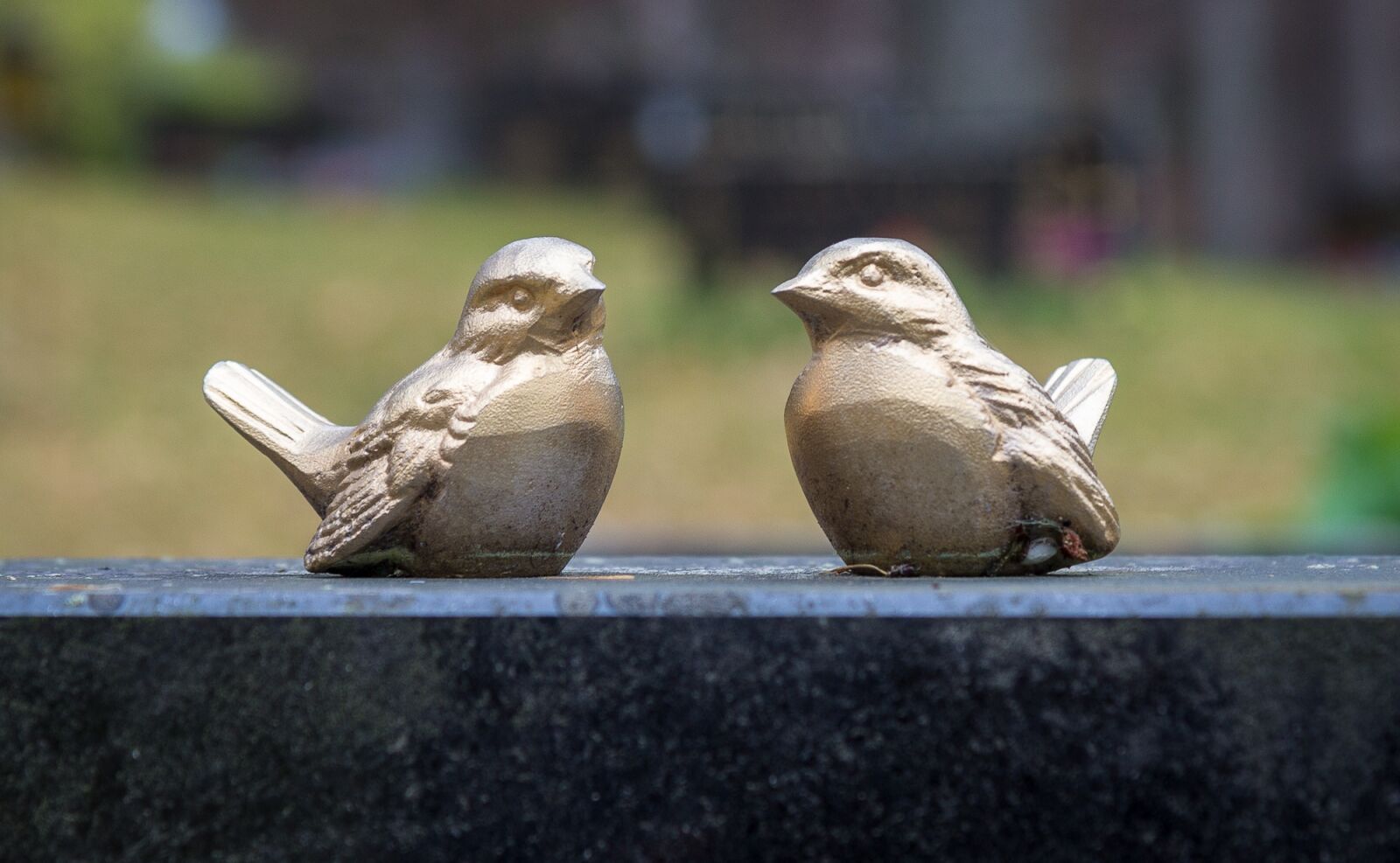 Canon EOS 60D sample photo. Bird, golden, love photography